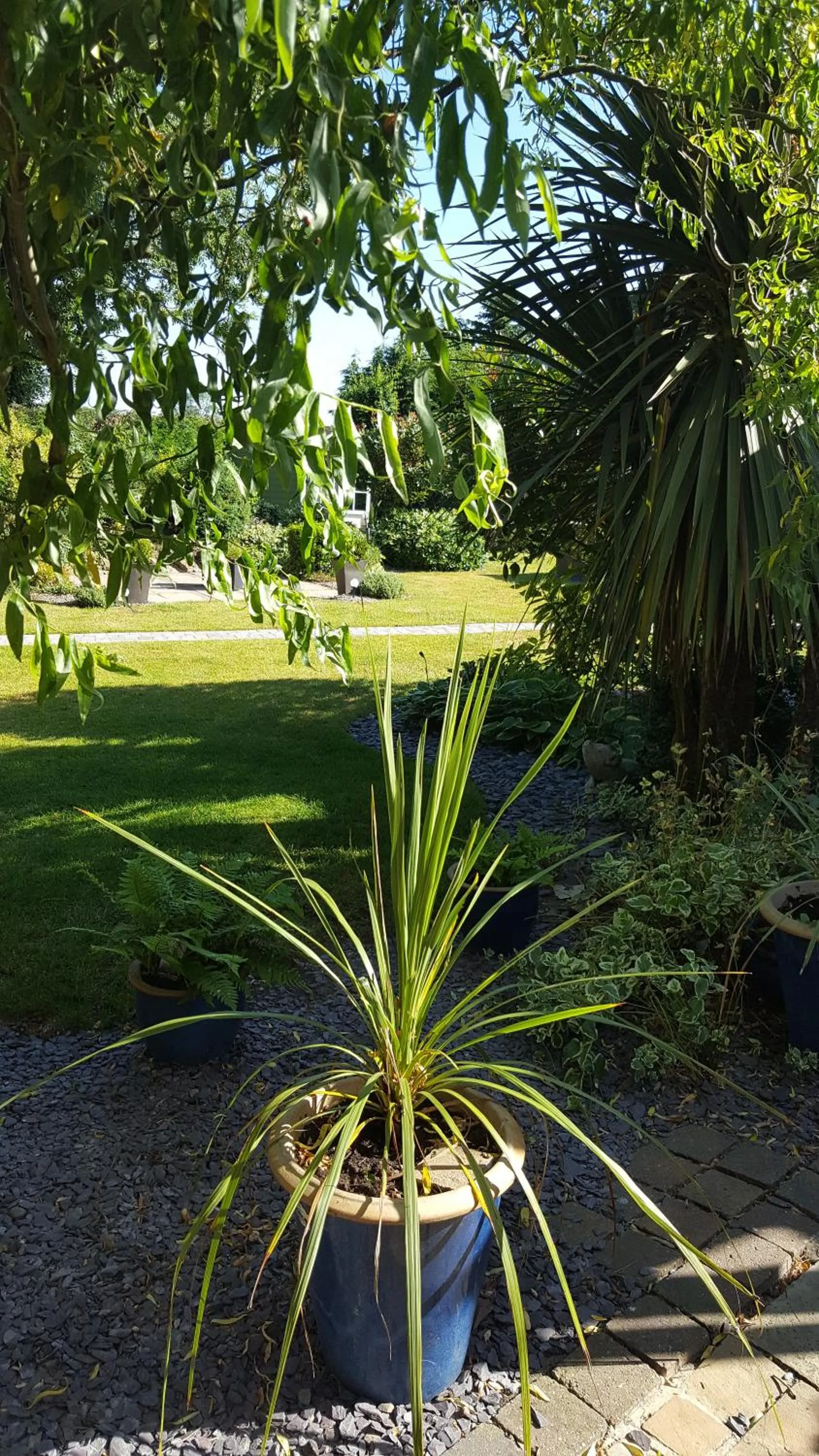 Garden in The White Dove Bed and Breakfast with Glamping Newark showground