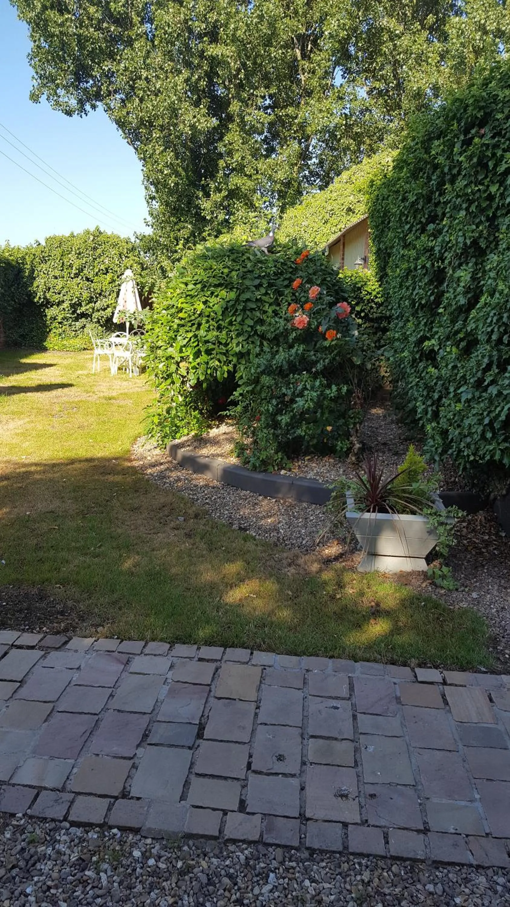 View (from property/room) in The White Dove Bed and Breakfast with Glamping Newark showground