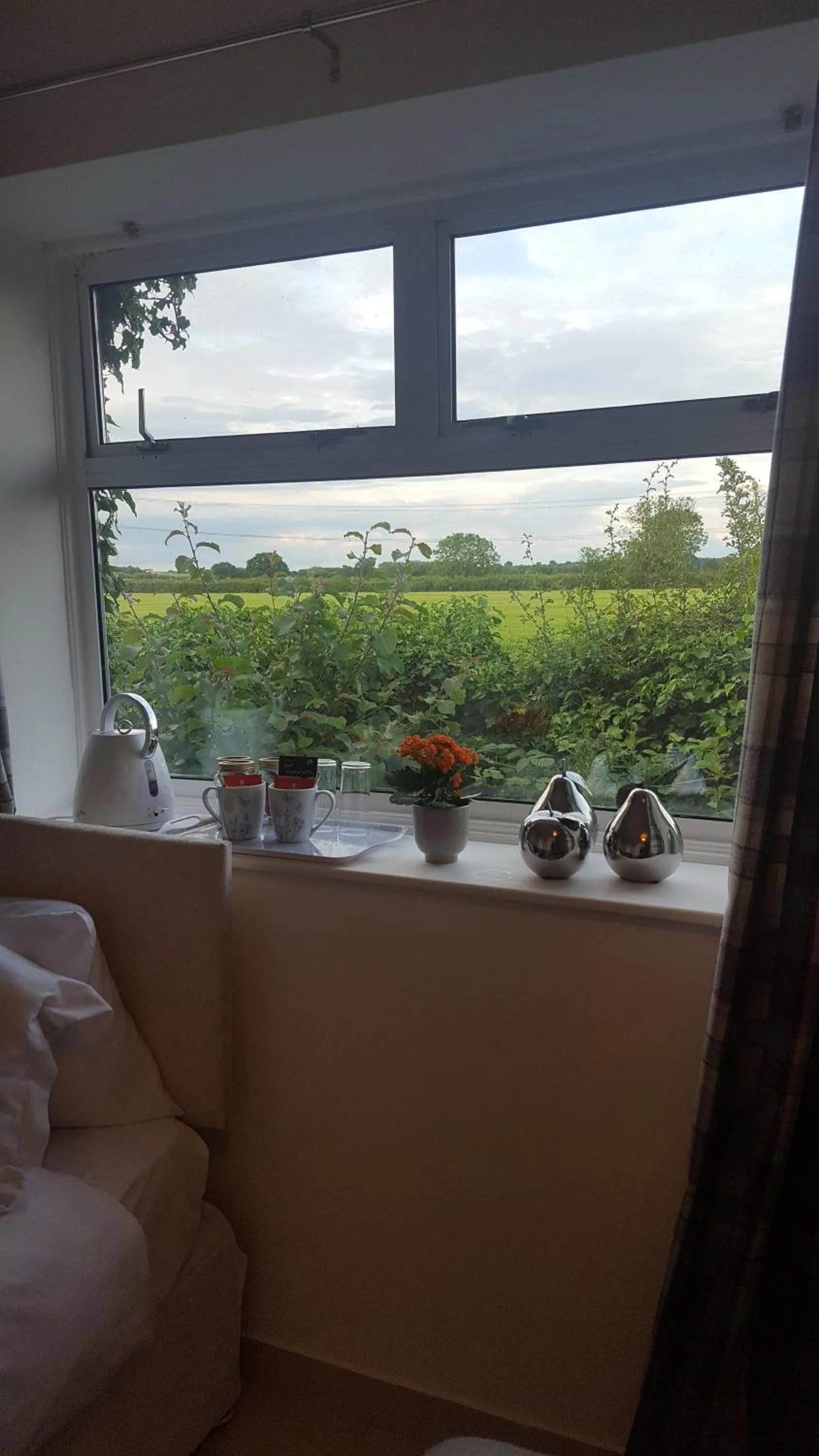 Garden view in The White Dove Bed and Breakfast with Glamping Newark showground