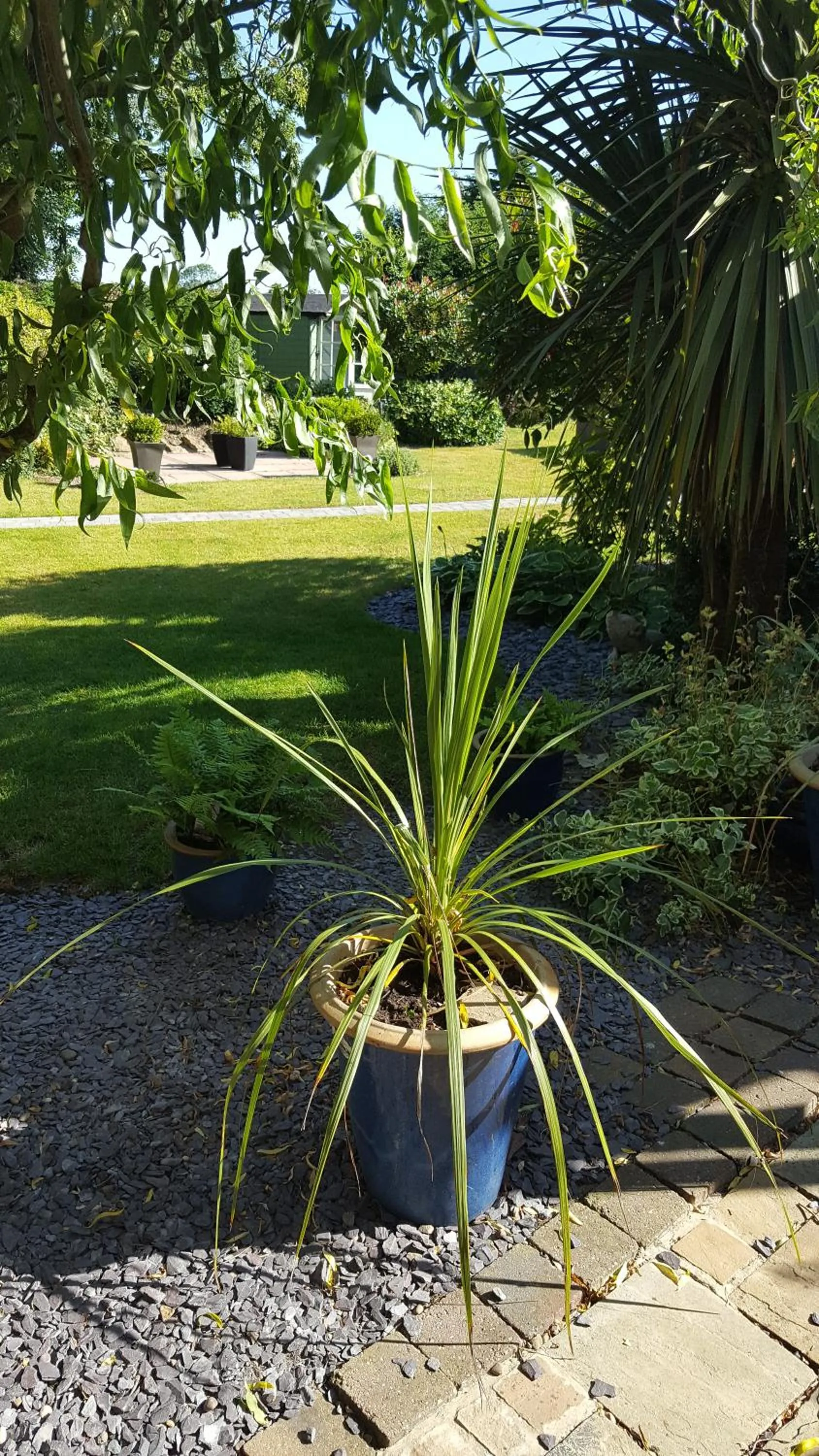 View (from property/room) in The White Dove Bed and Breakfast with Glamping Newark showground