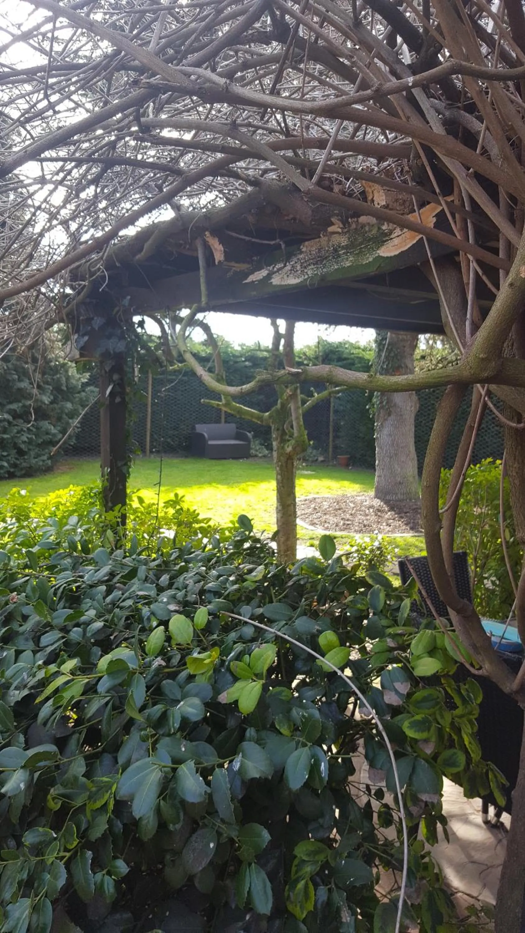 Garden in The White Dove Bed and Breakfast with Glamping Newark showground