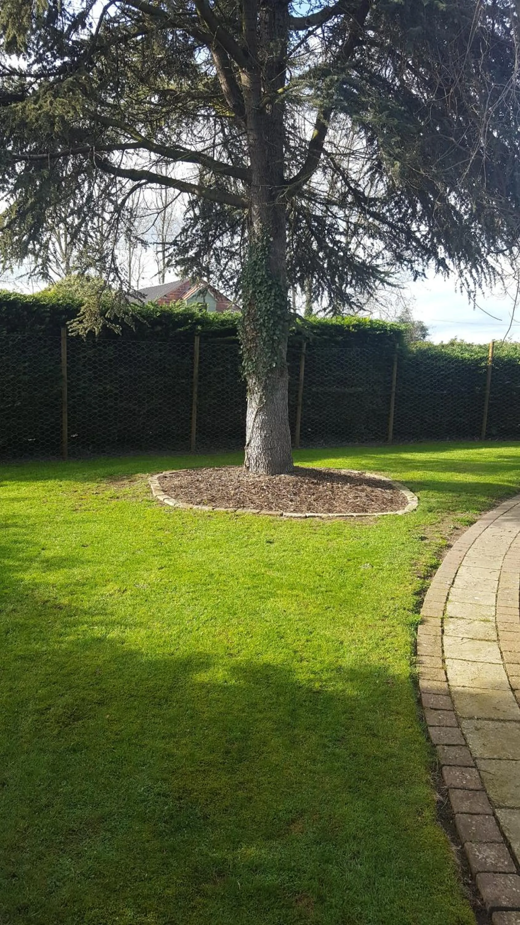 Garden in The White Dove Bed and Breakfast with Glamping Newark showground