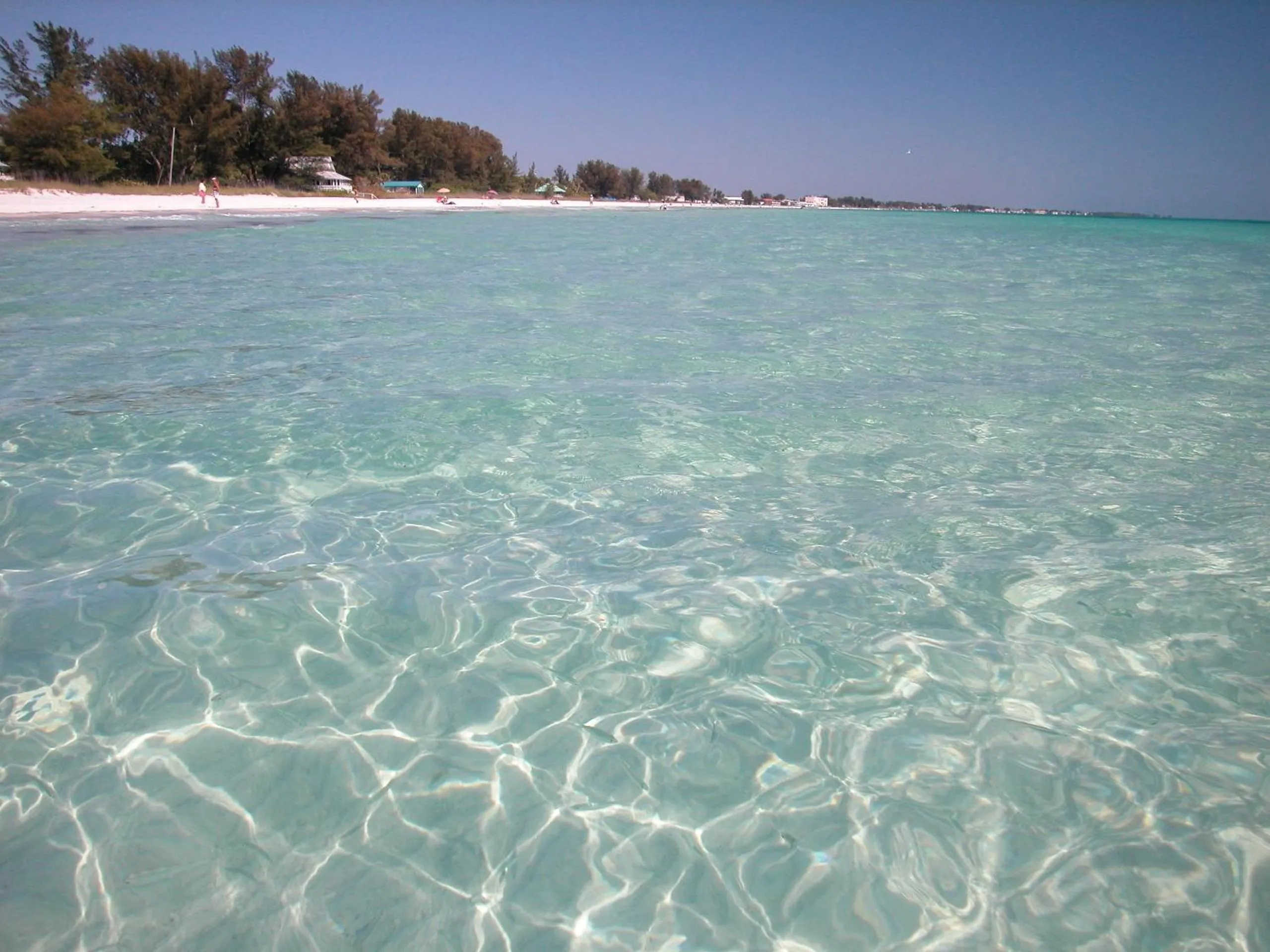 Beach in Silver Surf Gulf Beach Resort