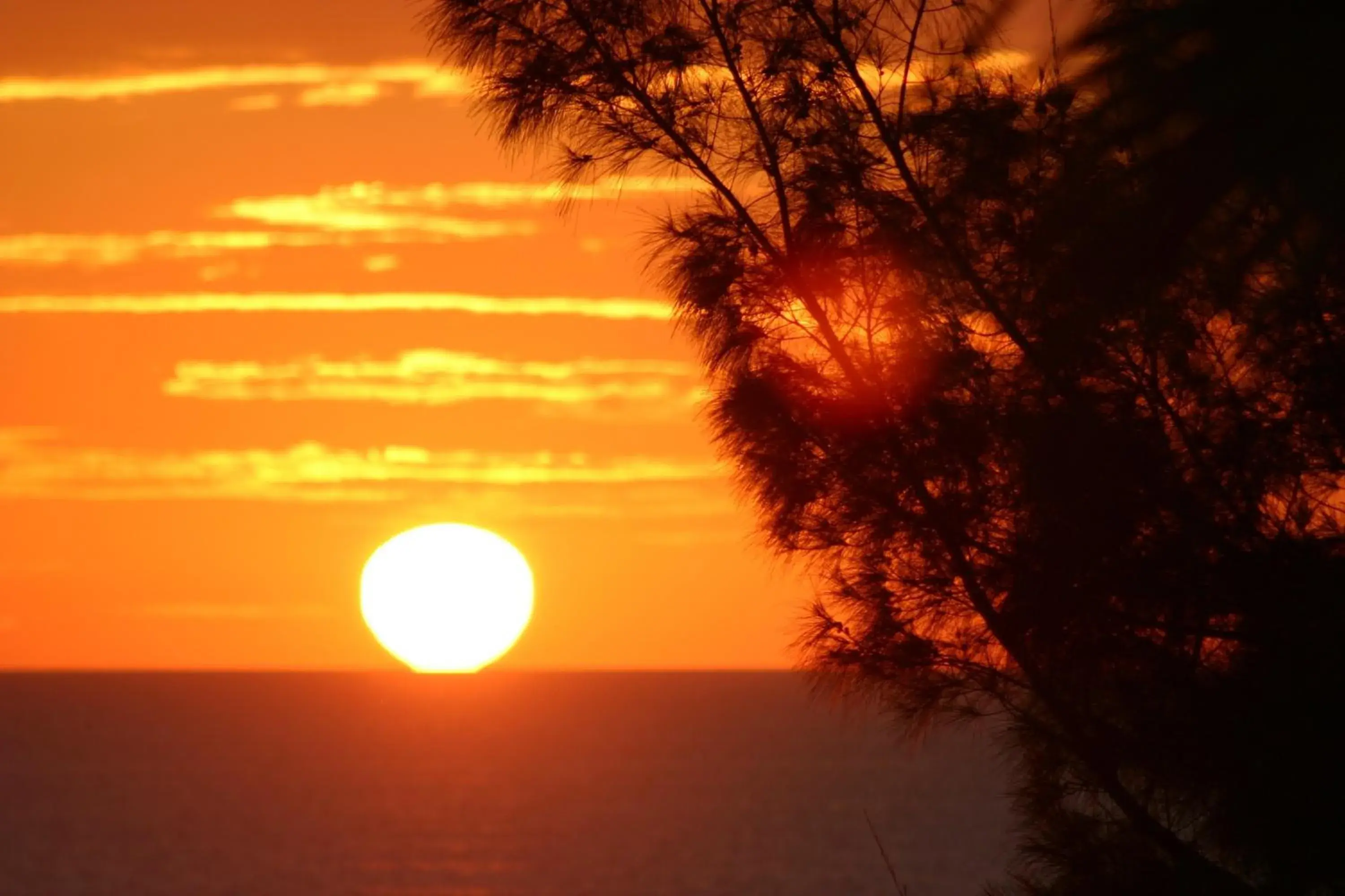 Area and facilities in Silver Surf Gulf Beach Resort Area and facilities in Silver Surf Gulf Beach Resort