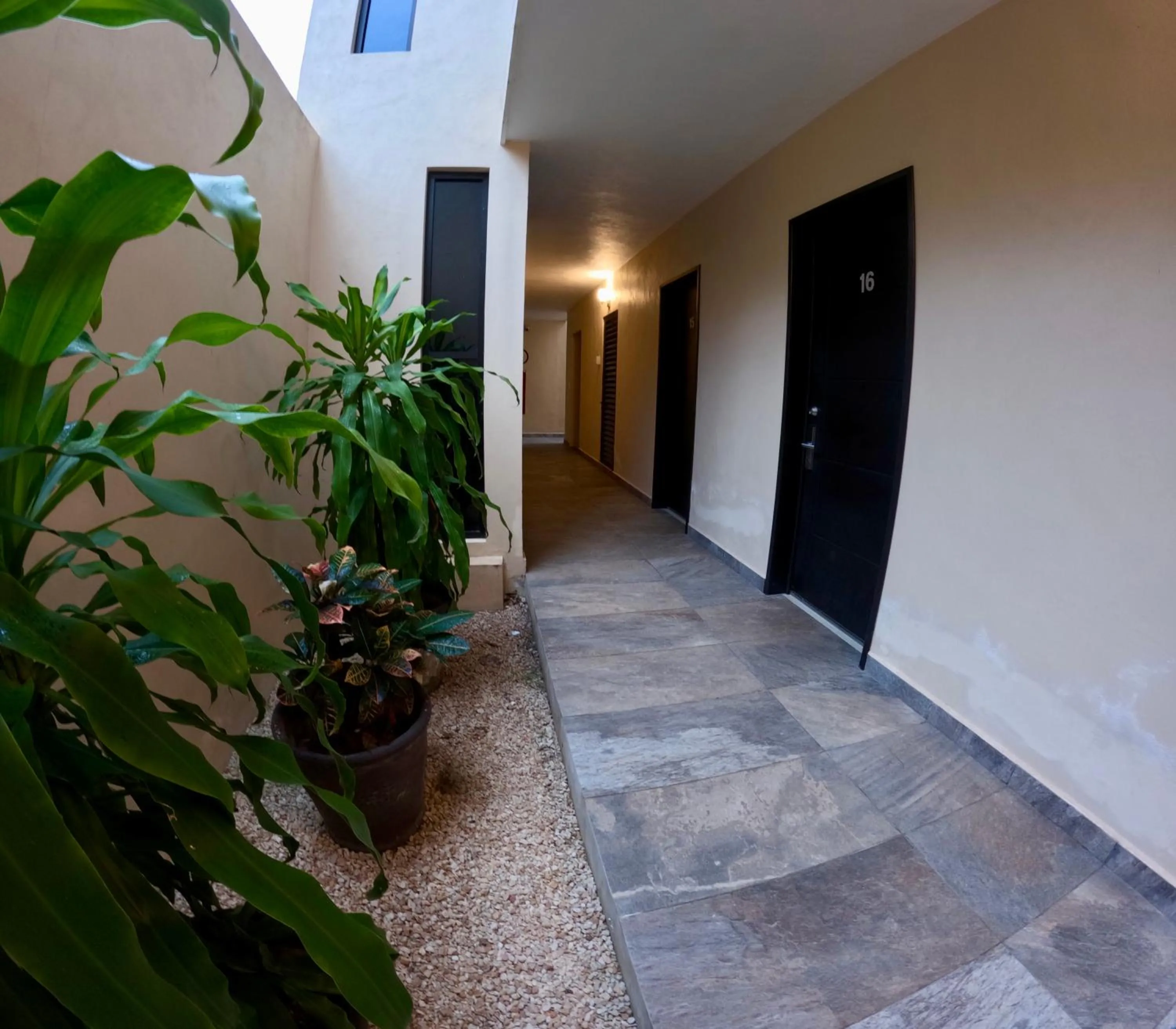 Property building in Hotel Avila