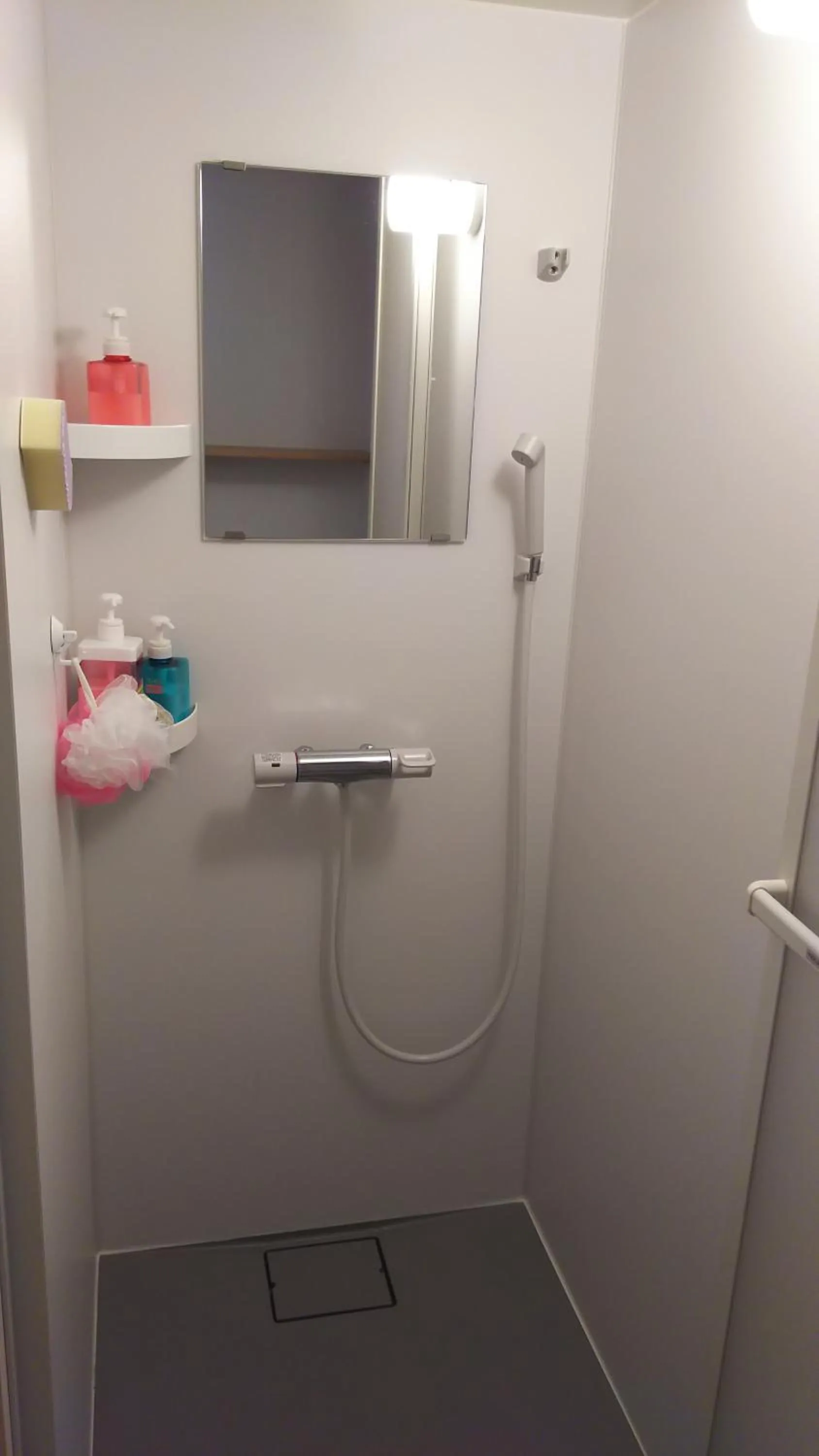 Bathroom in Houtouji Temple