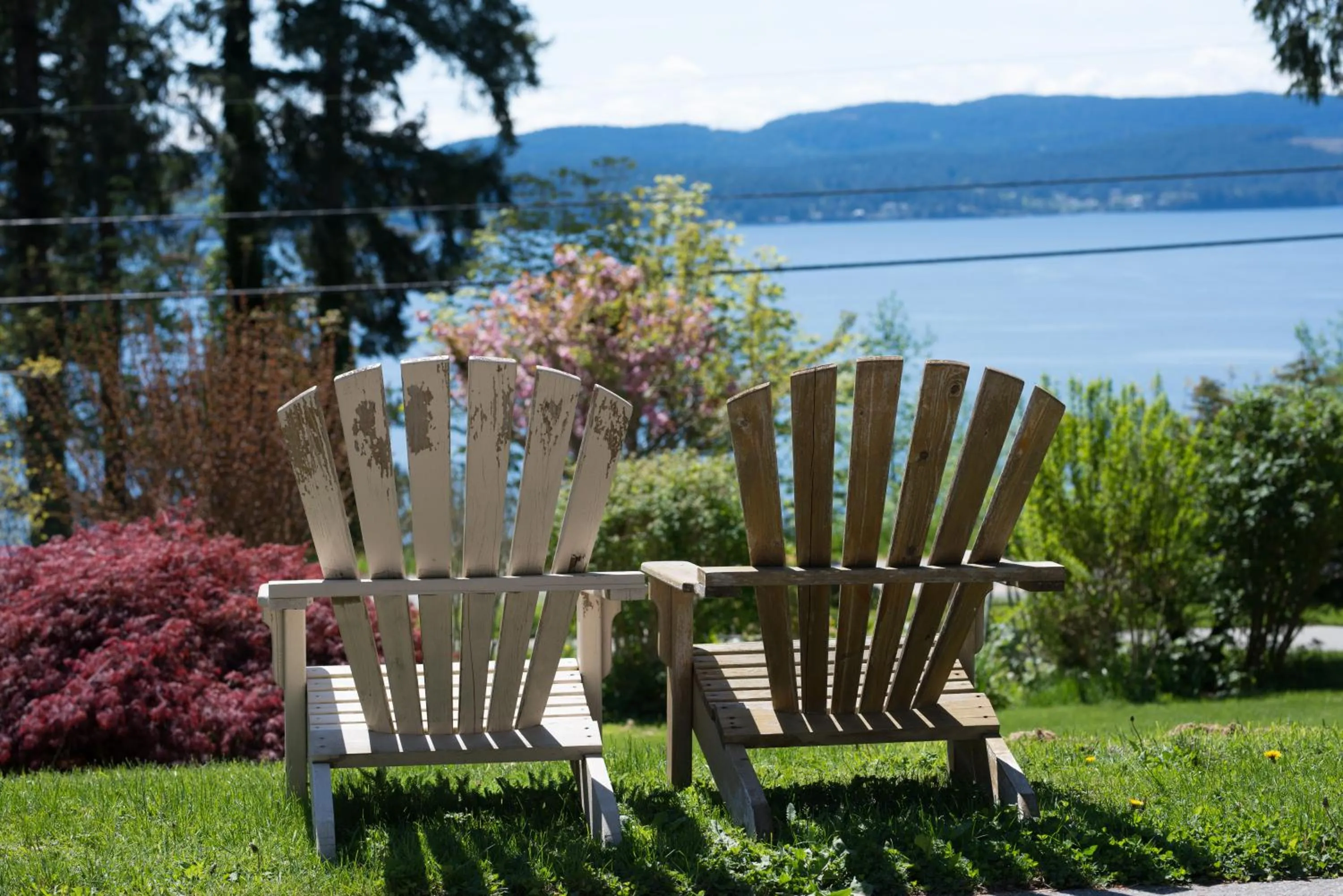 Garden view in Seaside Villa Motel & RV Park