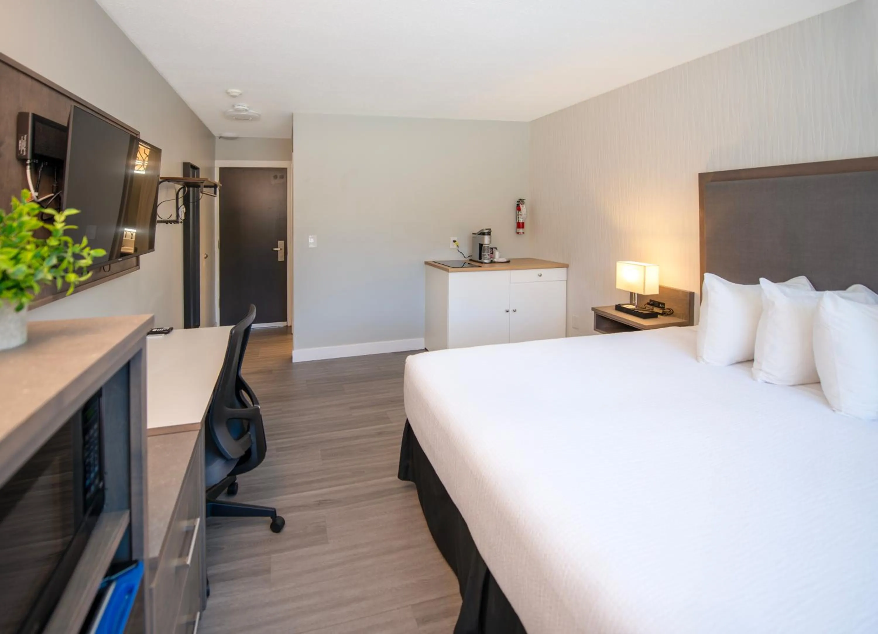 Kitchen or kitchenette, Bed in The Spot at Porpoise Bay