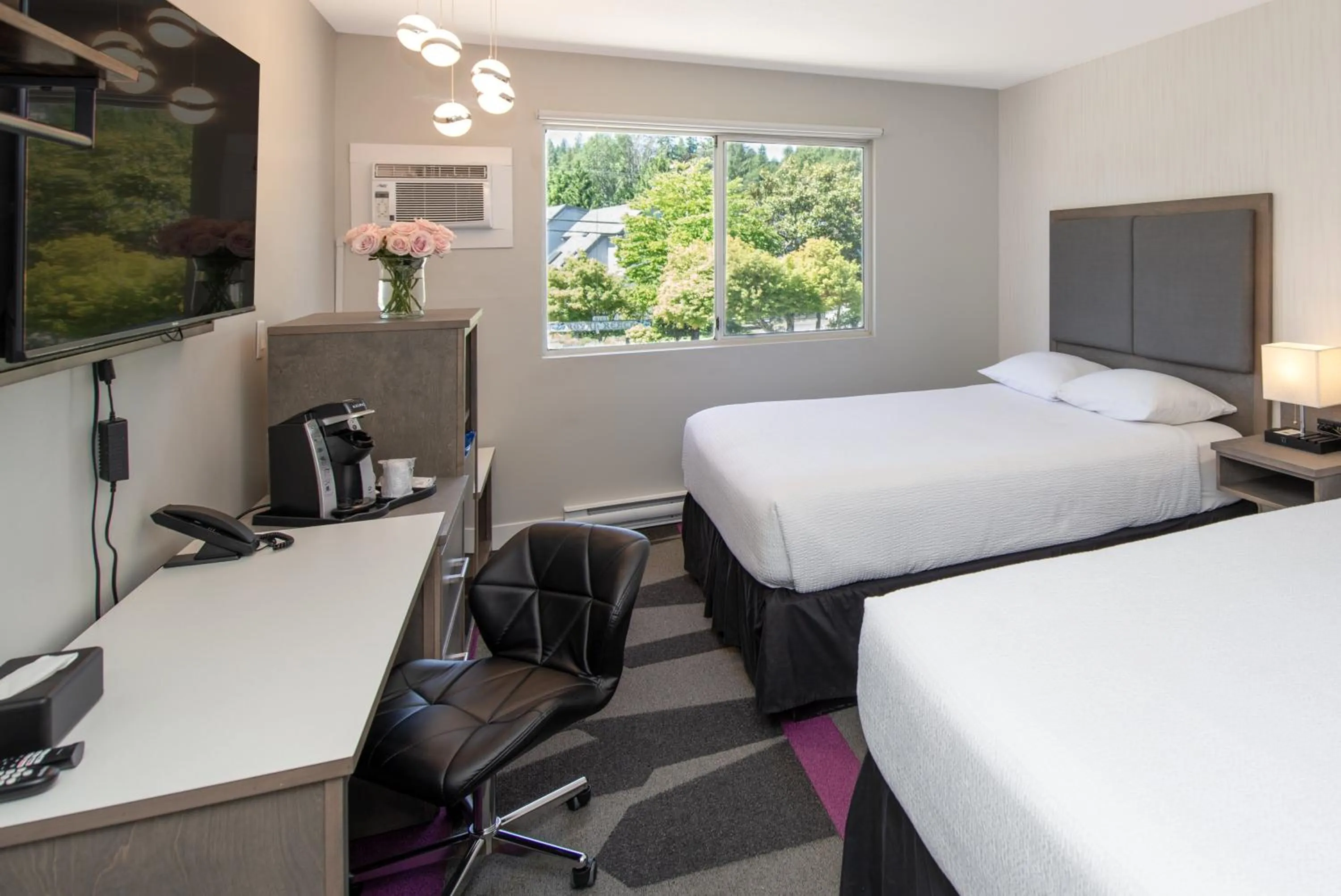 Guests, Bed in The Spot at Porpoise Bay