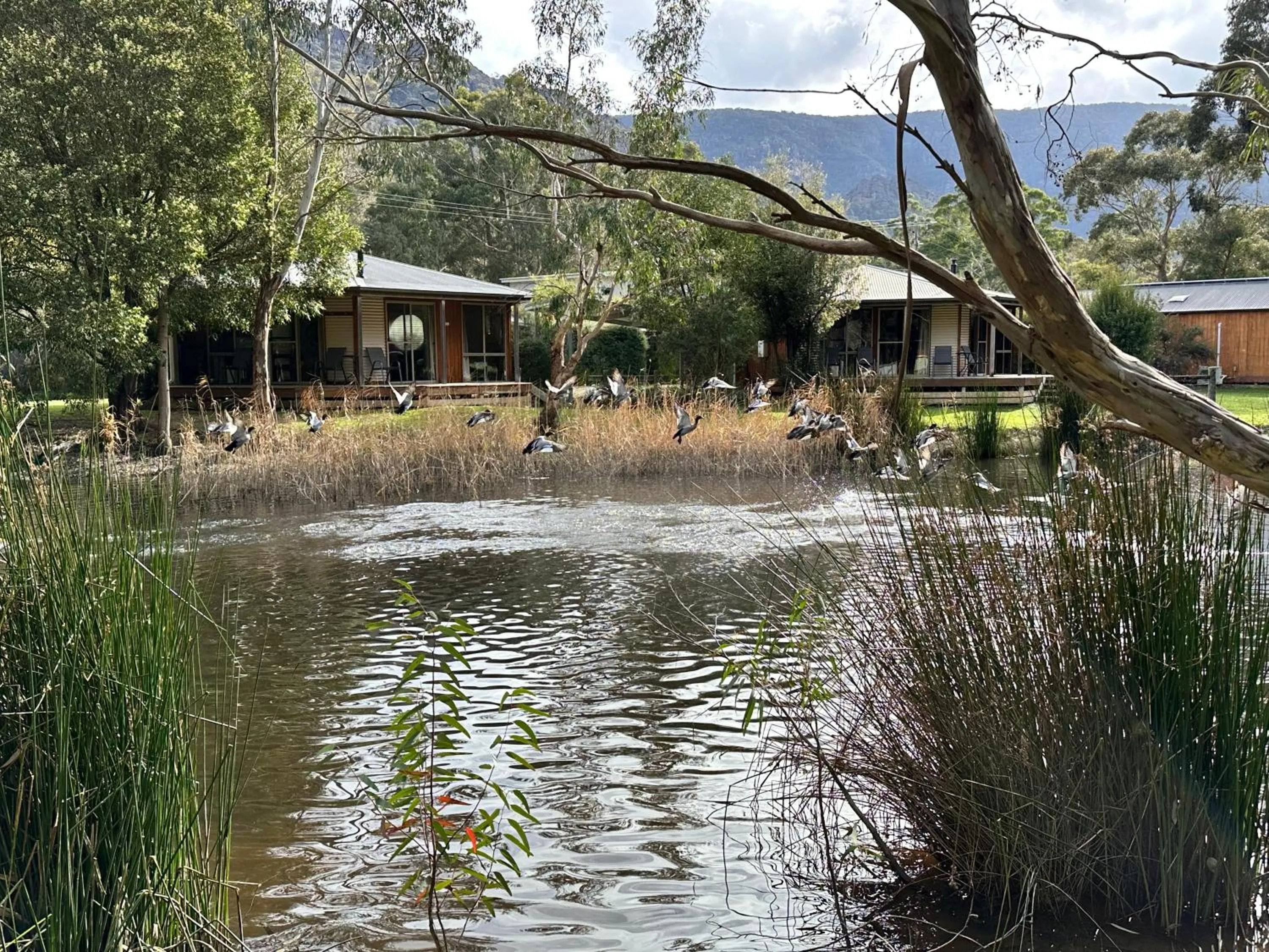 Grampians Chalets
