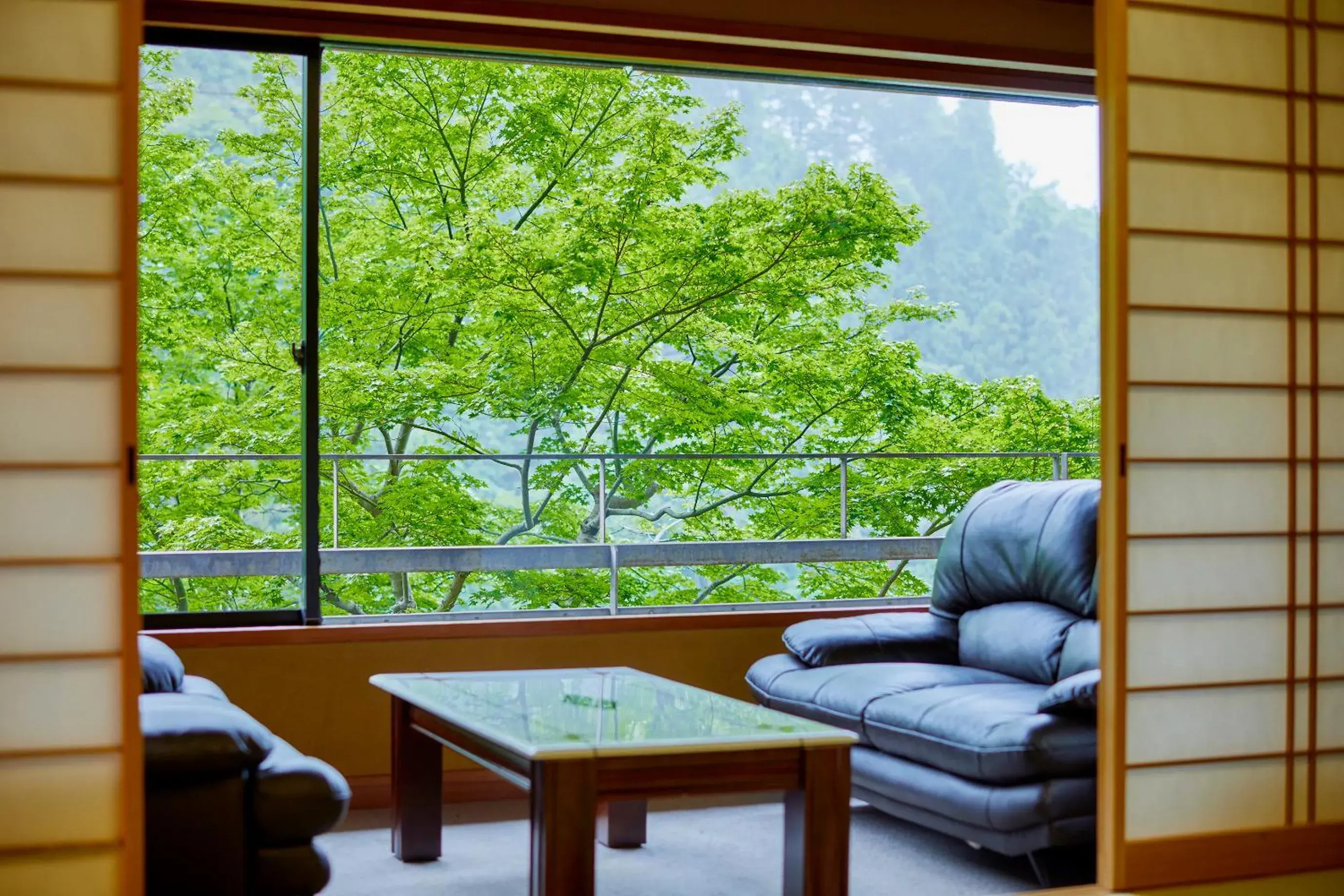 Mountain view in Fukuichi Mountain view in Fukuichi