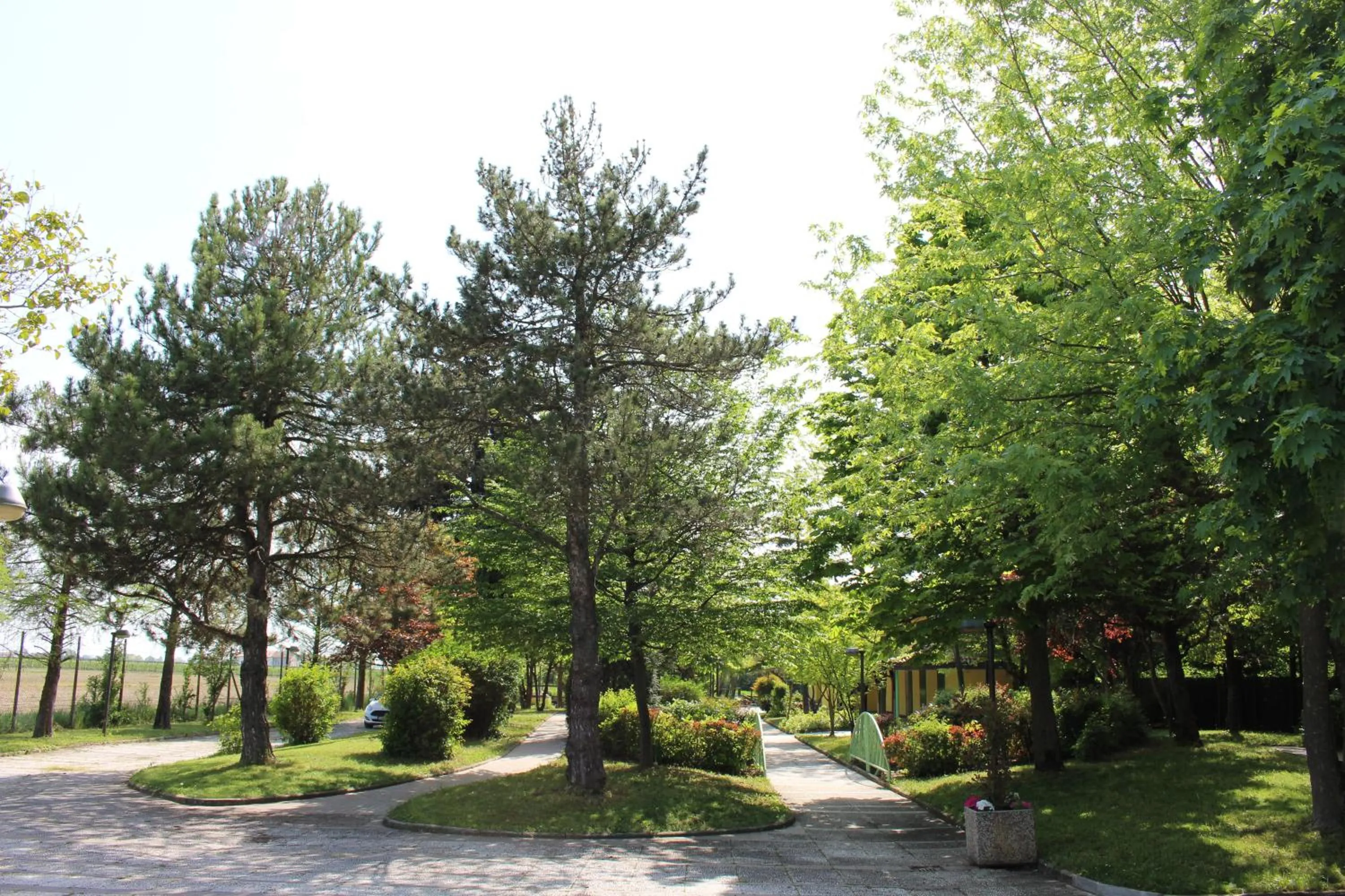 Garden in B&B Villa dei Cigni Reali