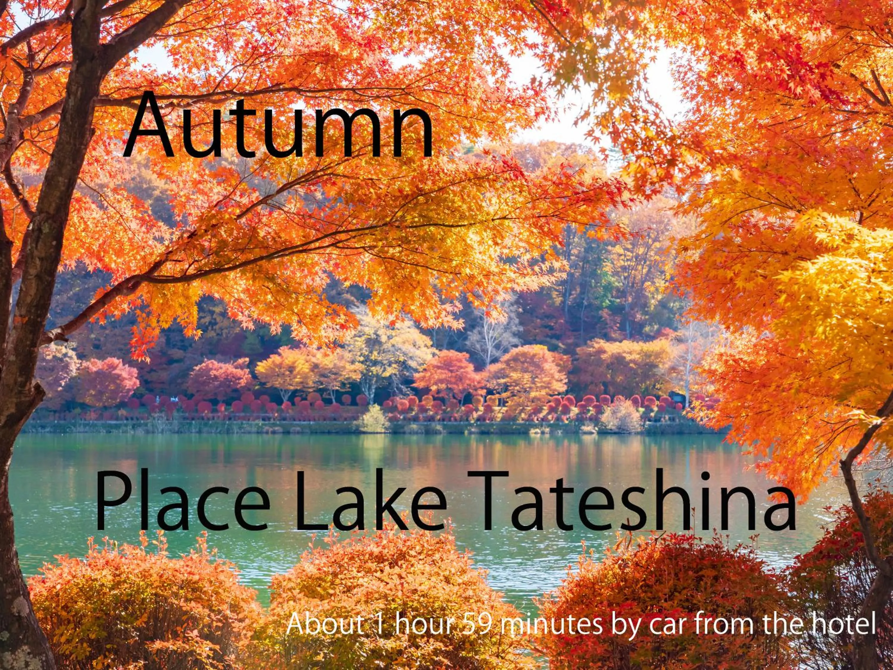 Nearby landmark, Property Logo/Sign in Royal Hotel NAGANO