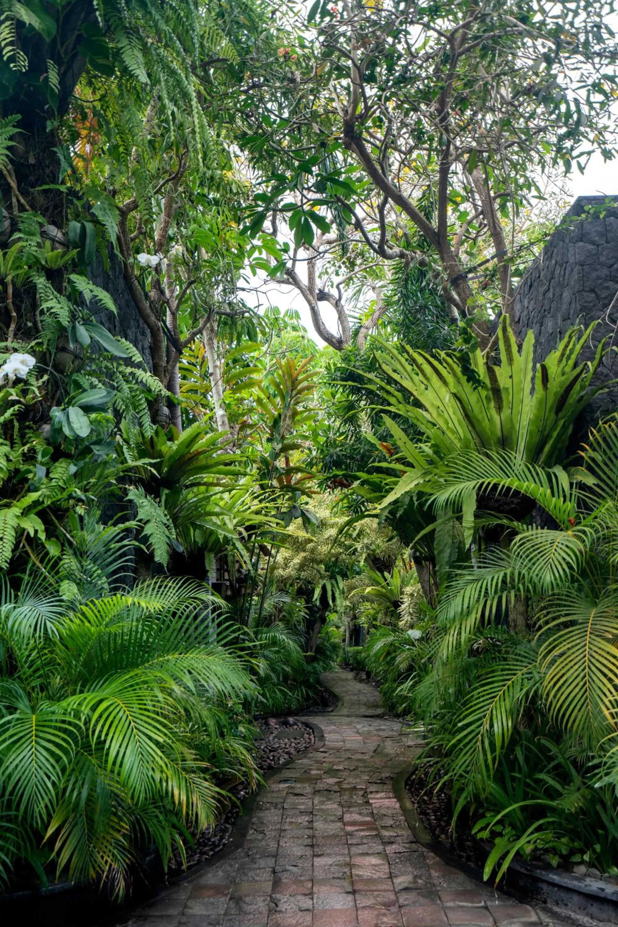 Patio in The Bali Dream Villa & Resort Echo Beach Canggu
