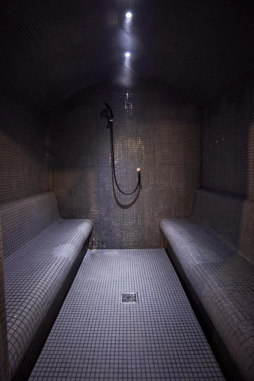 Sauna in Phoenicia Grand Hotel