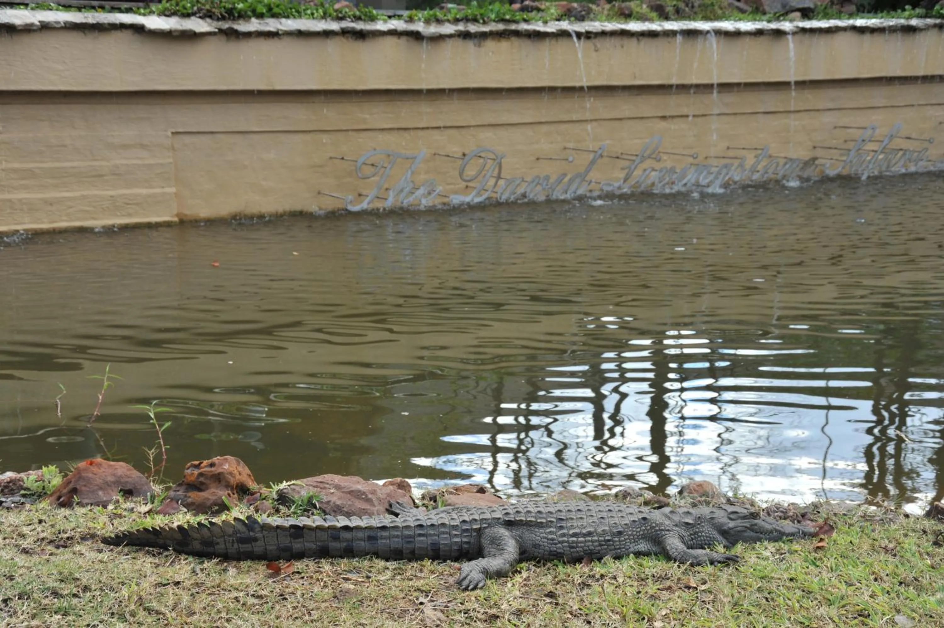 Animals in The David Livingstone Safari Lodge & Spa