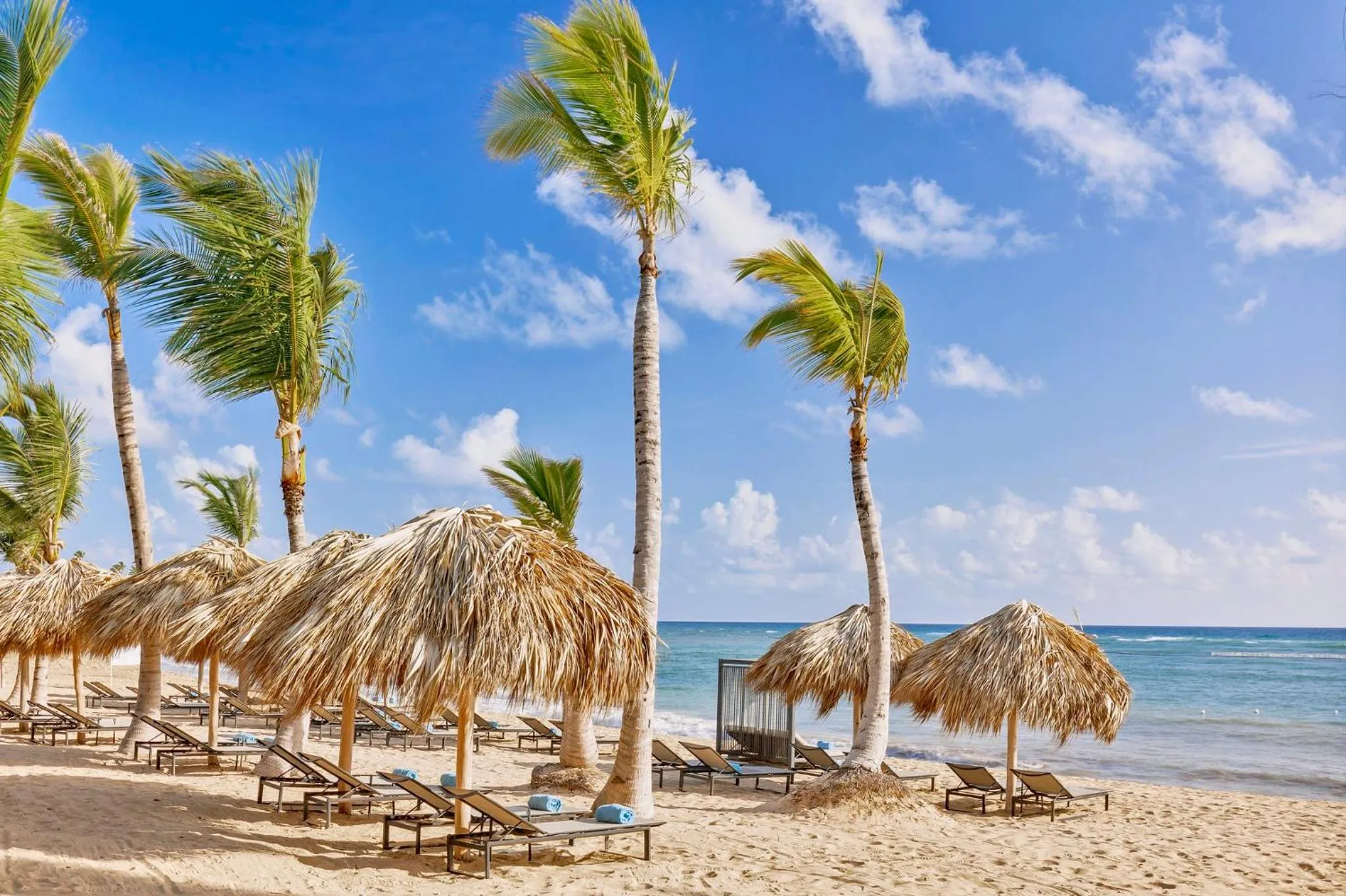 Beach in Live Aqua Punta Cana - All Inclusive - Adults Only