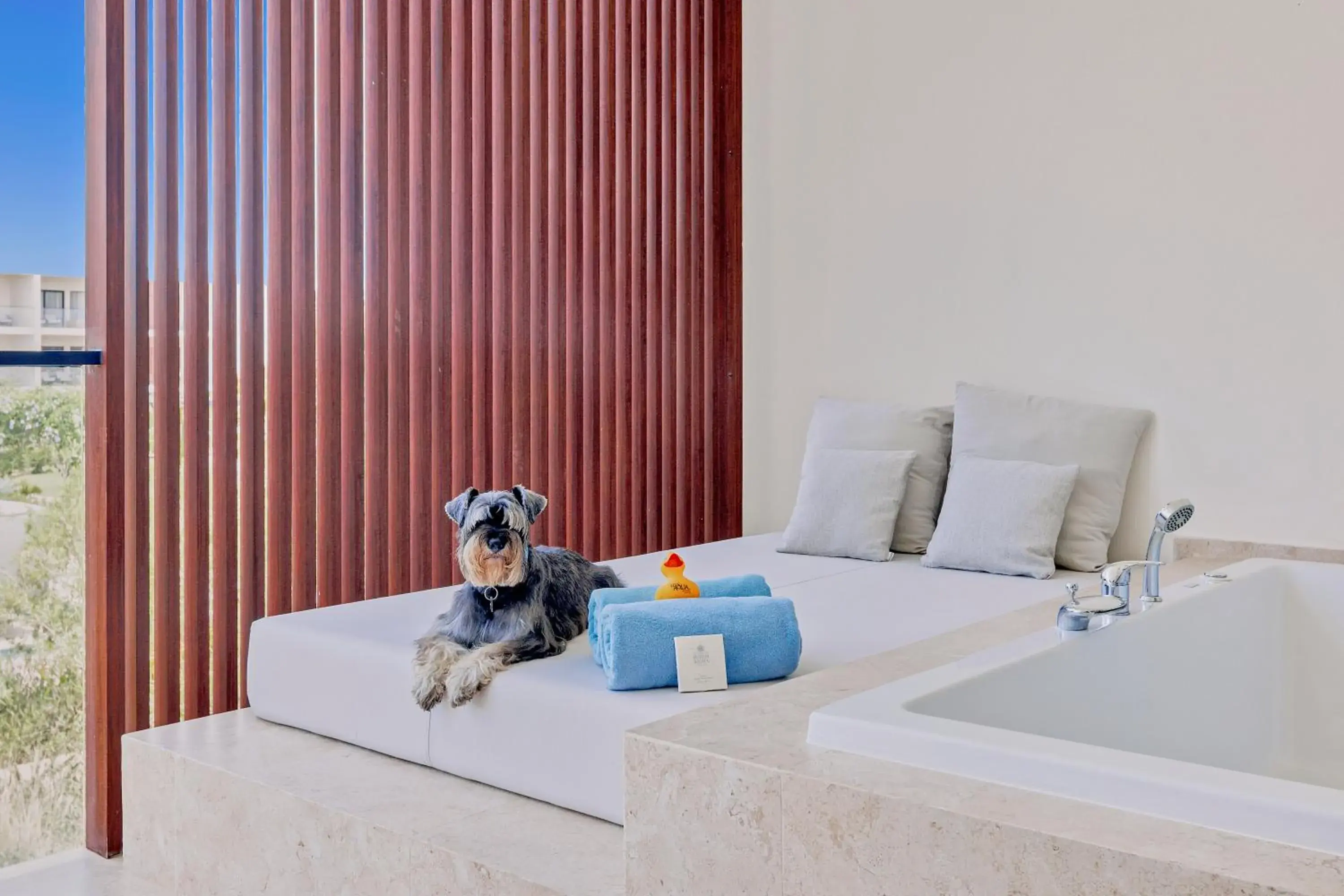 Spring, Bed in Live Aqua Punta Cana - All Inclusive - Adults Only Spring, Bed in Live Aqua Punta Cana - All Inclusive - Adults Only