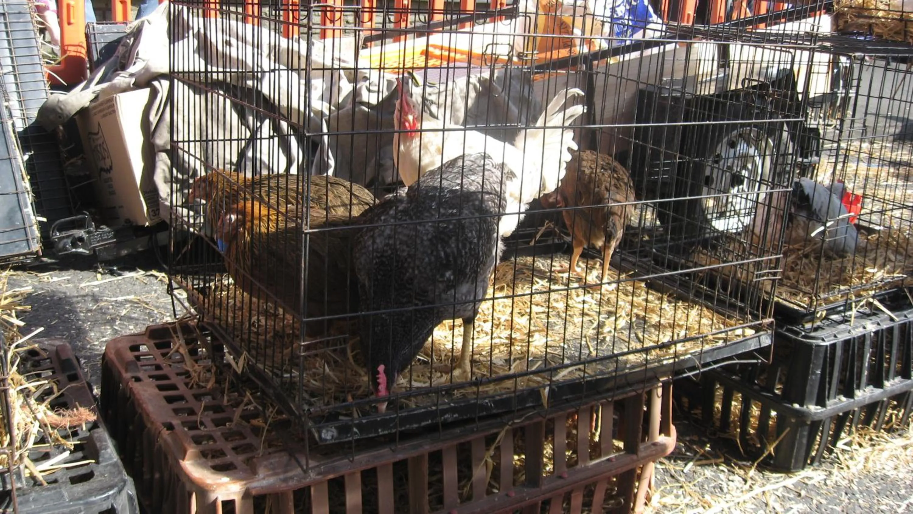 Library in An Bruachan B&B