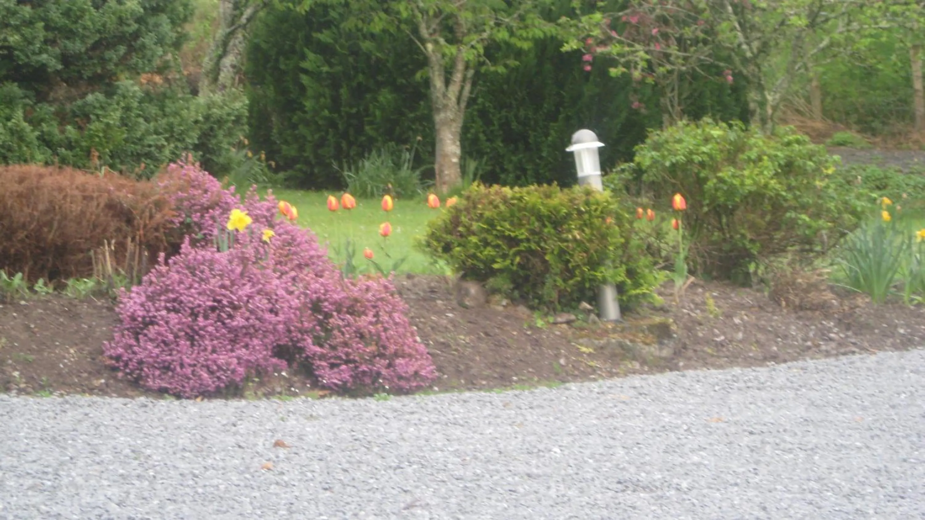 Natural landscape in An Bruachan B&B