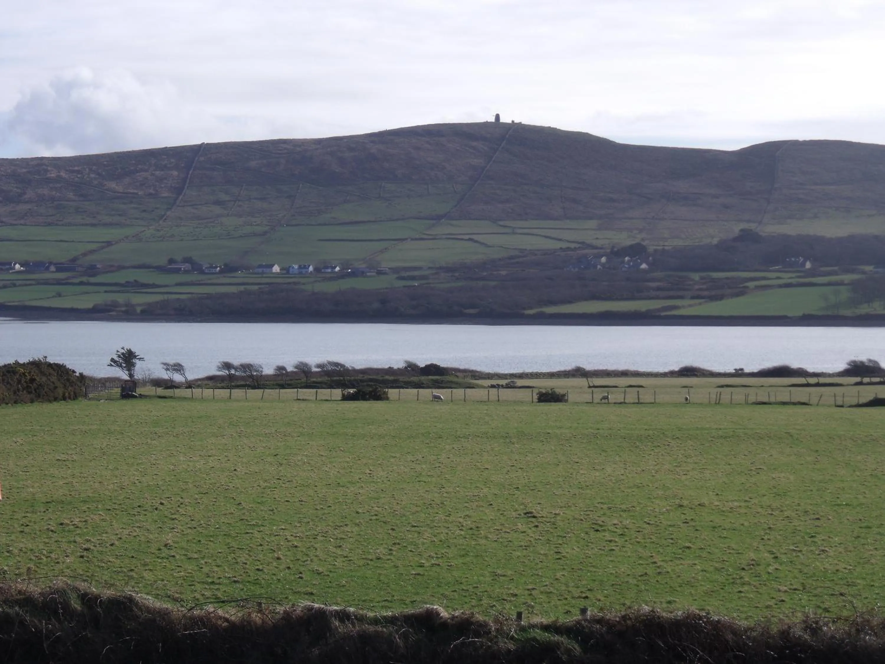 View (from property/room) in Brownes