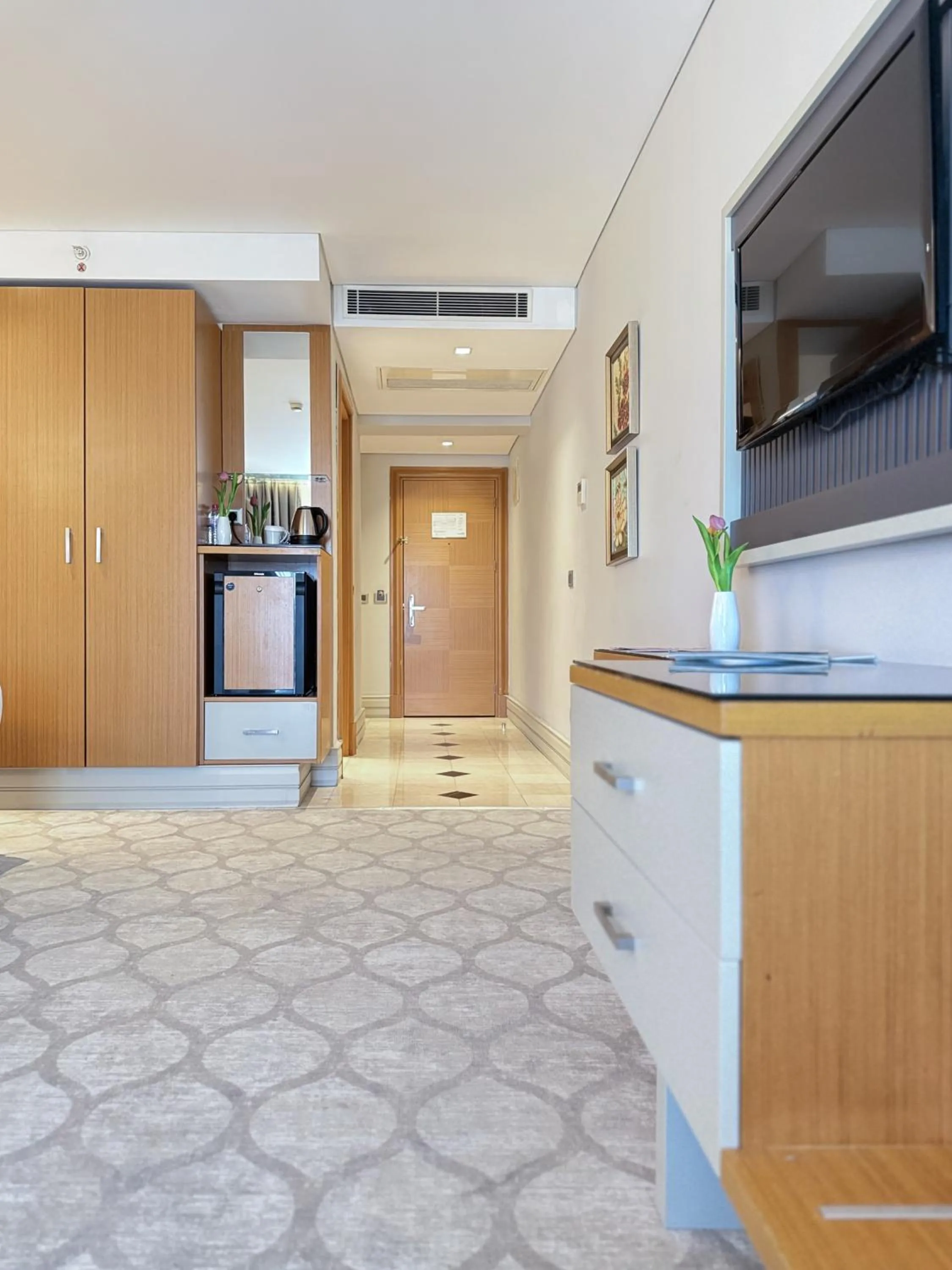 TV and multimedia in Istanbul Gonen Hotel