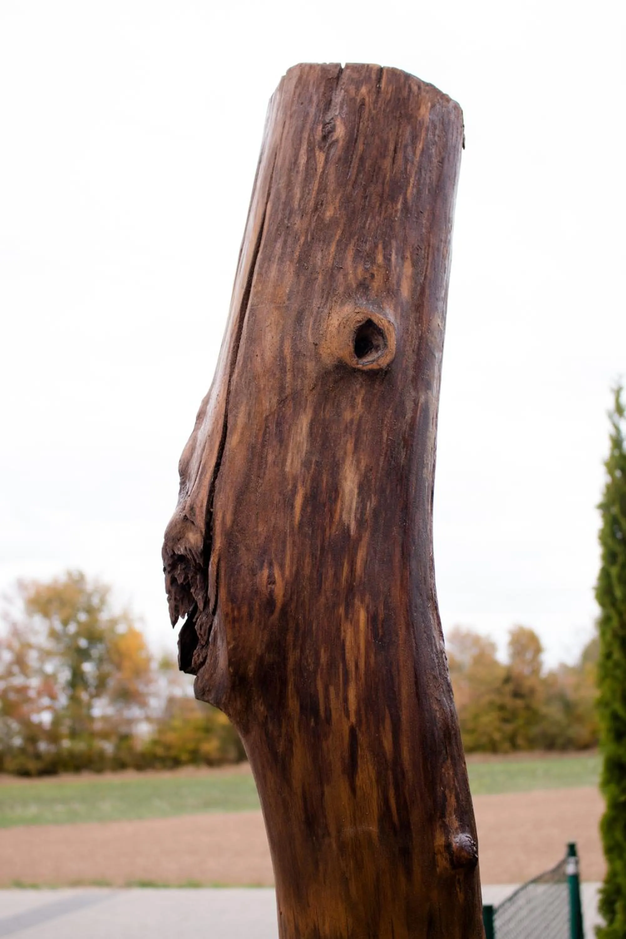 Garden in Art & Nature Apartments in der Nähe FFM-Messe