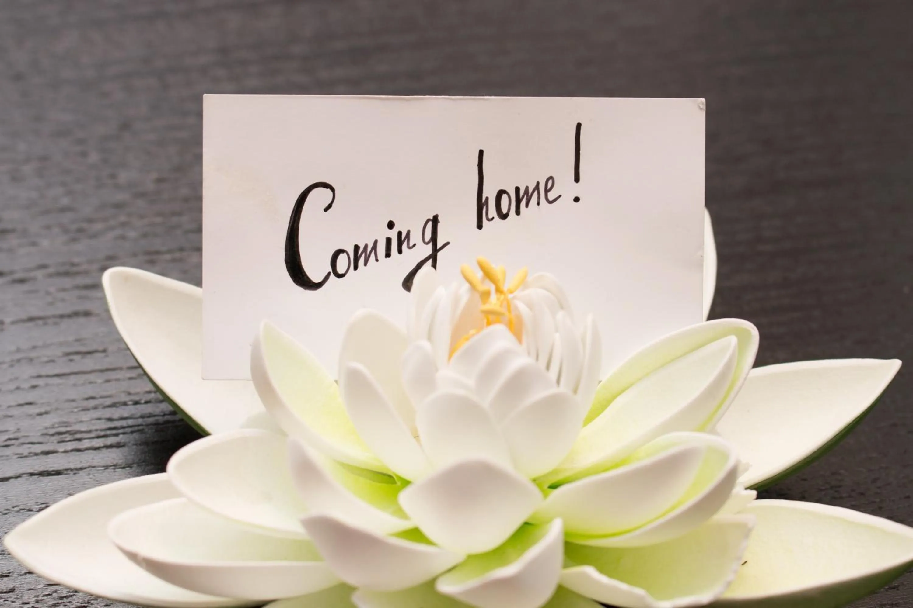 Logo/Certificate/Sign in Art & Nature Apartments in der Nähe FFM-Messe