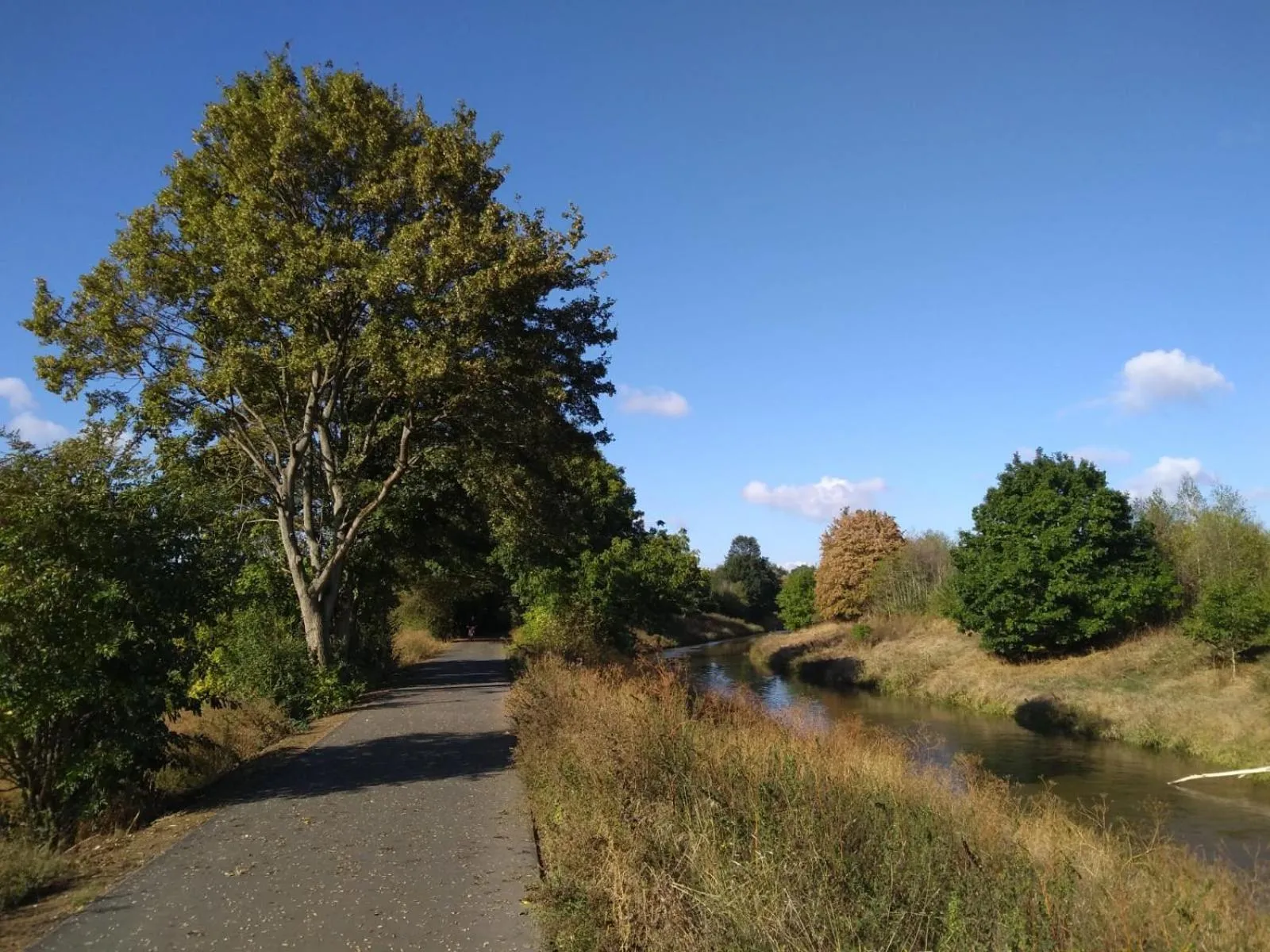 Natural landscape in Art & Nature Apartments in der Nähe FFM-Messe