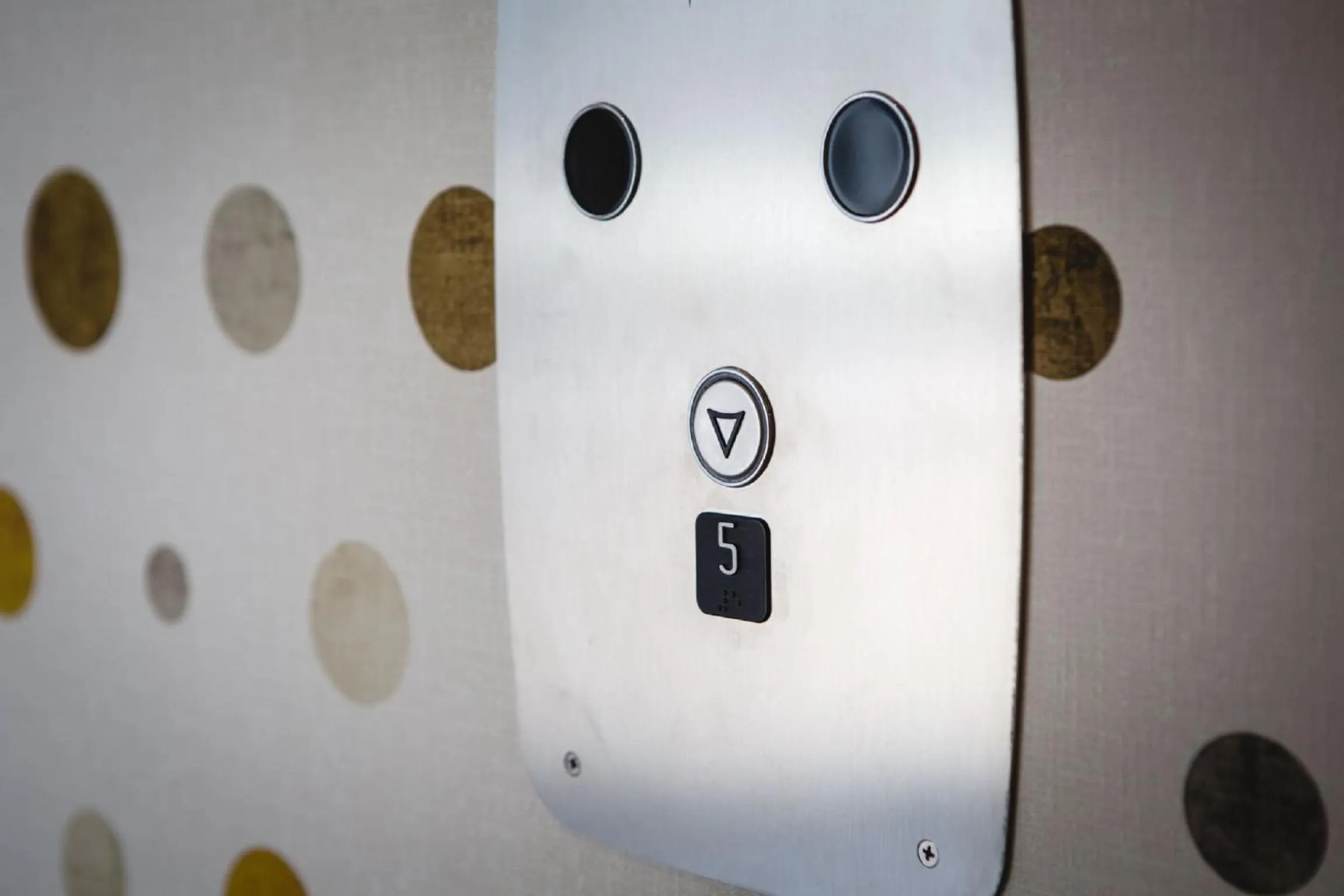 Area and facilities in Hotel Speranza