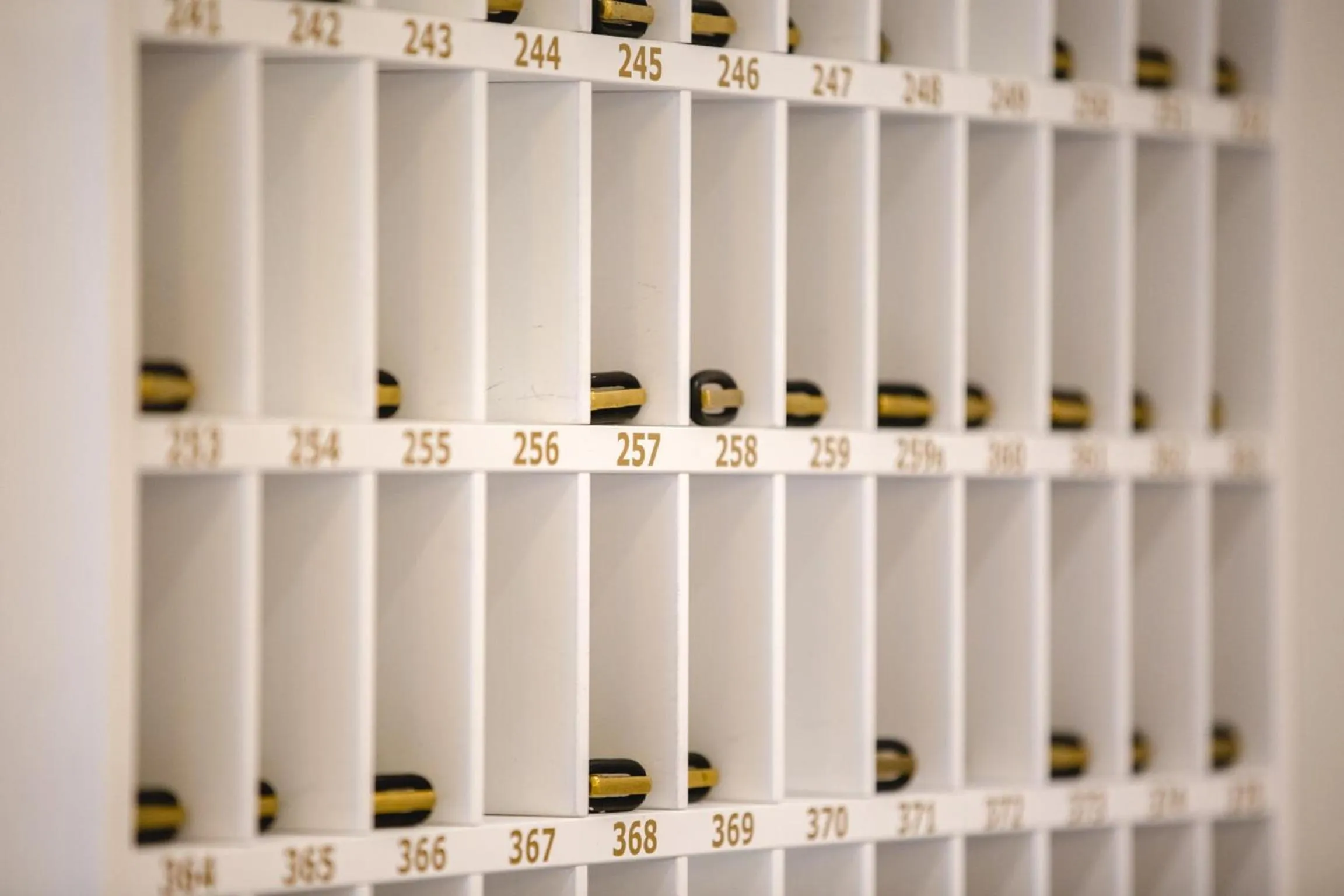 Lobby or reception in Hotel Speranza