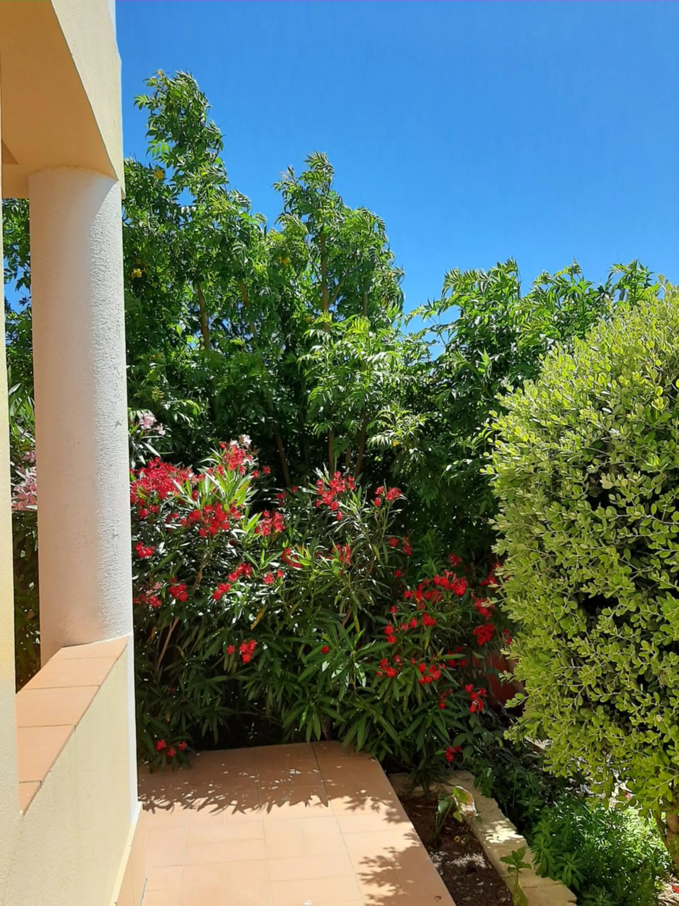 Garden view in Aurora Sol
