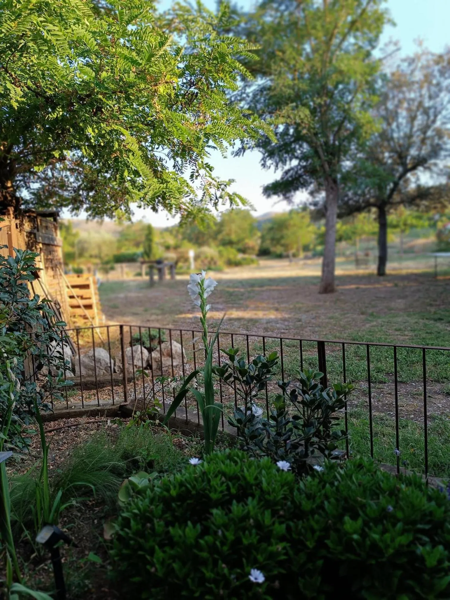 Natural landscape in Mas Del Llop Blanc - Dog friendly Hostal Rural - B&B