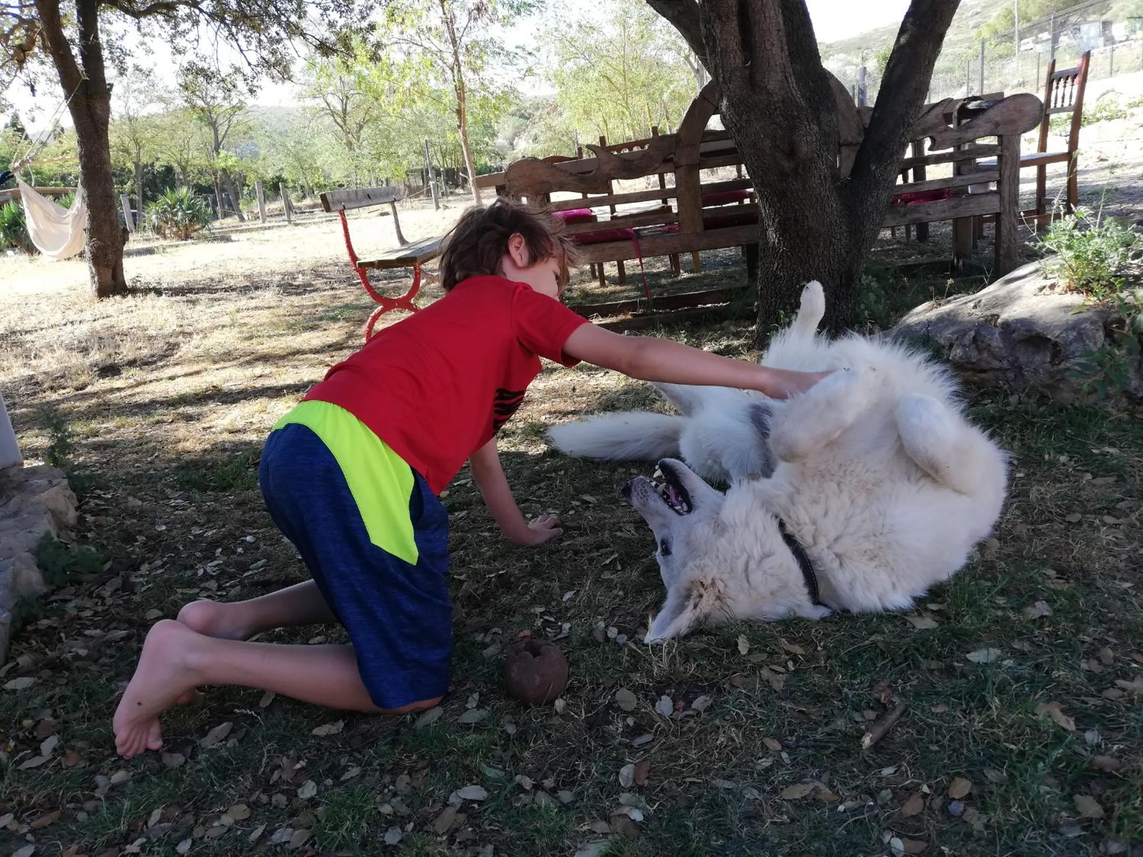 Animals in Mas Del Llop Blanc - Dog friendly Hostal Rural - B&B