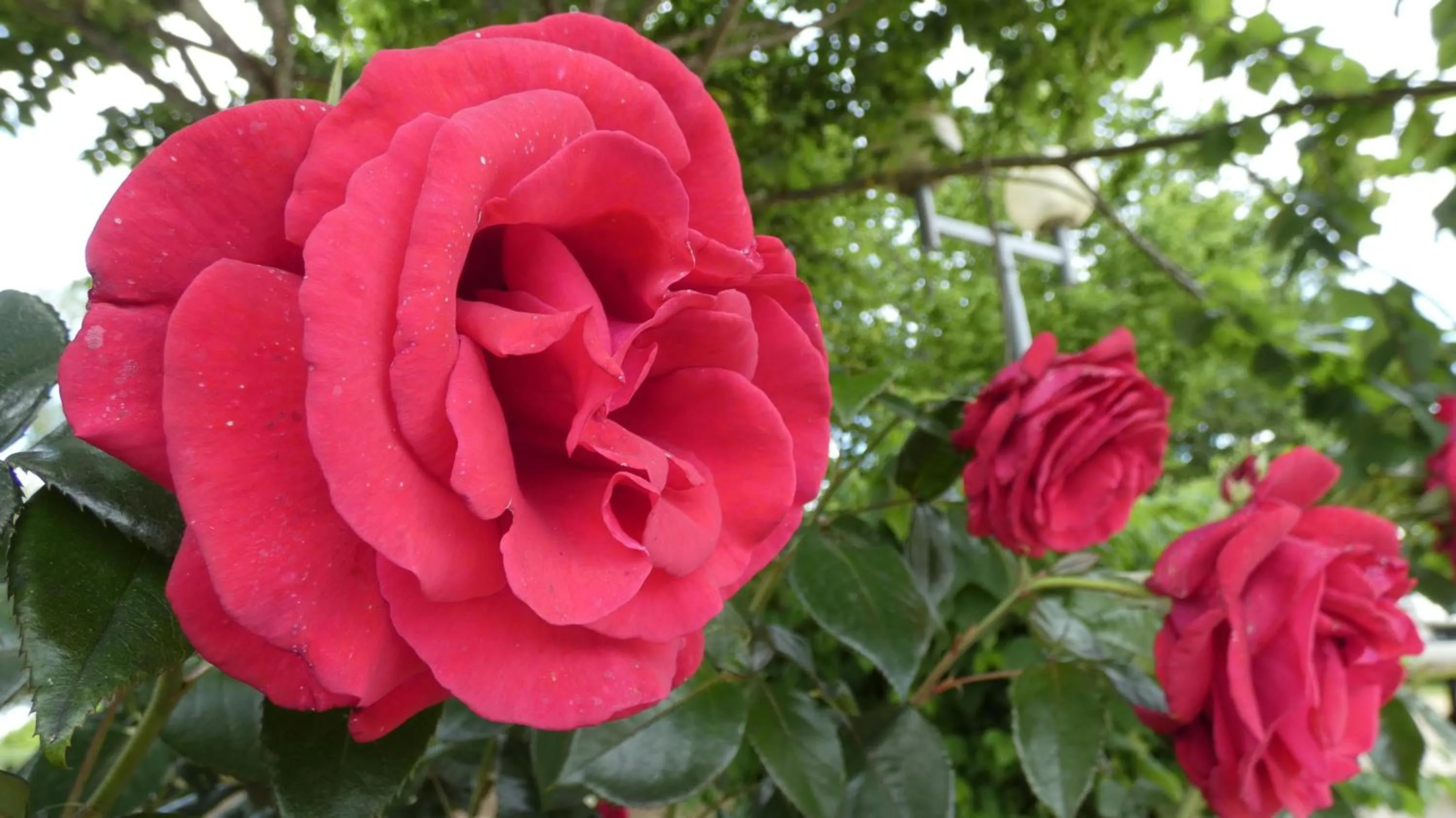 Natural landscape in Les Chalets d'Argentouleau