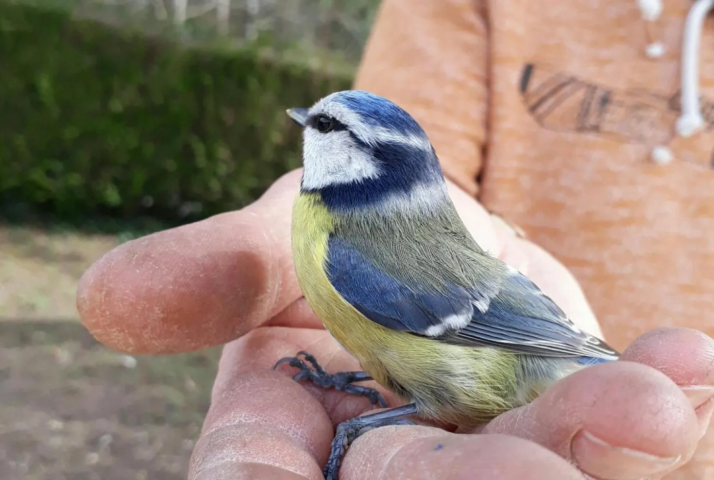 Natural landscape in Les Chalets d'Argentouleau