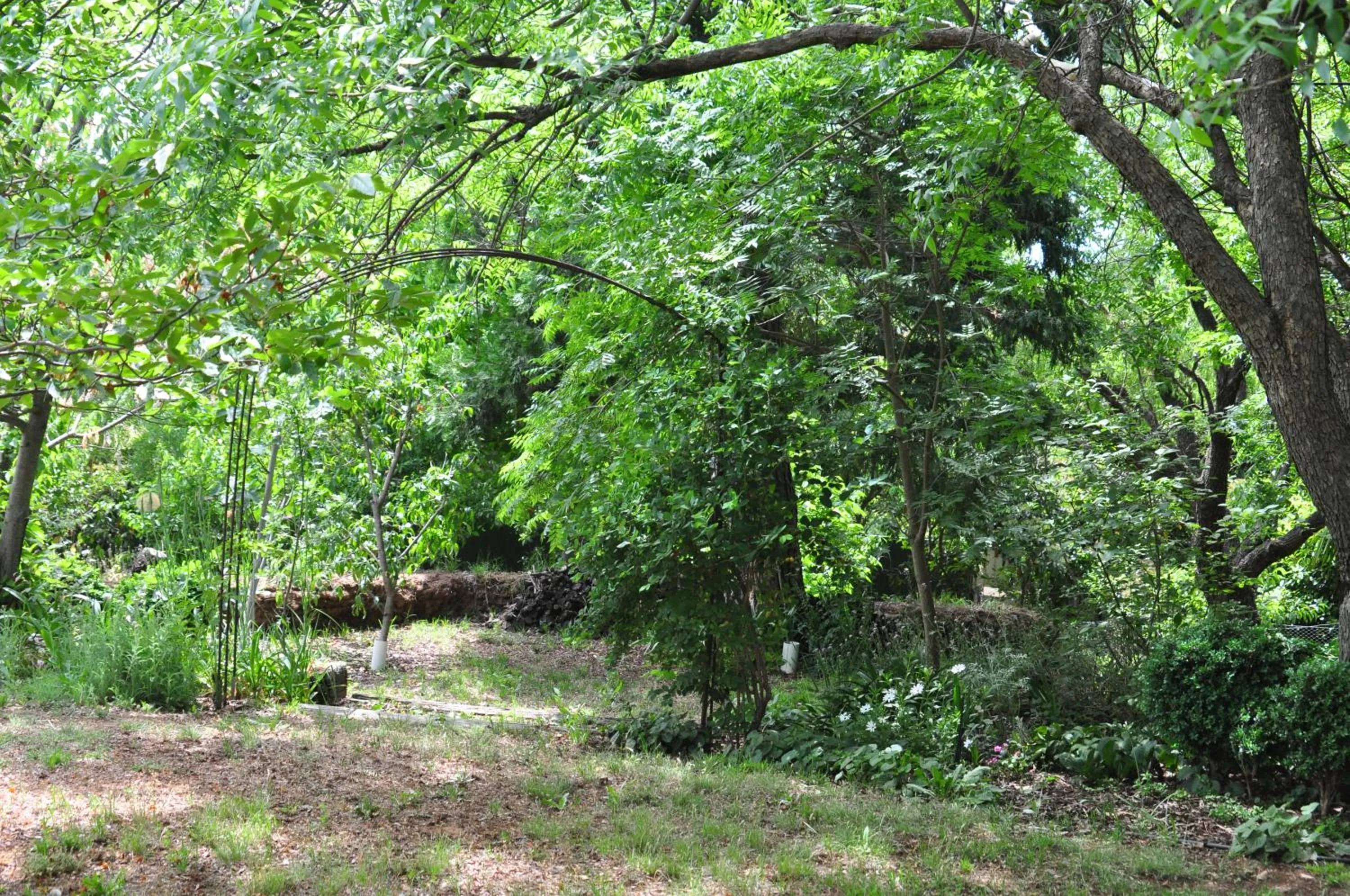 Holmhurst Guest House