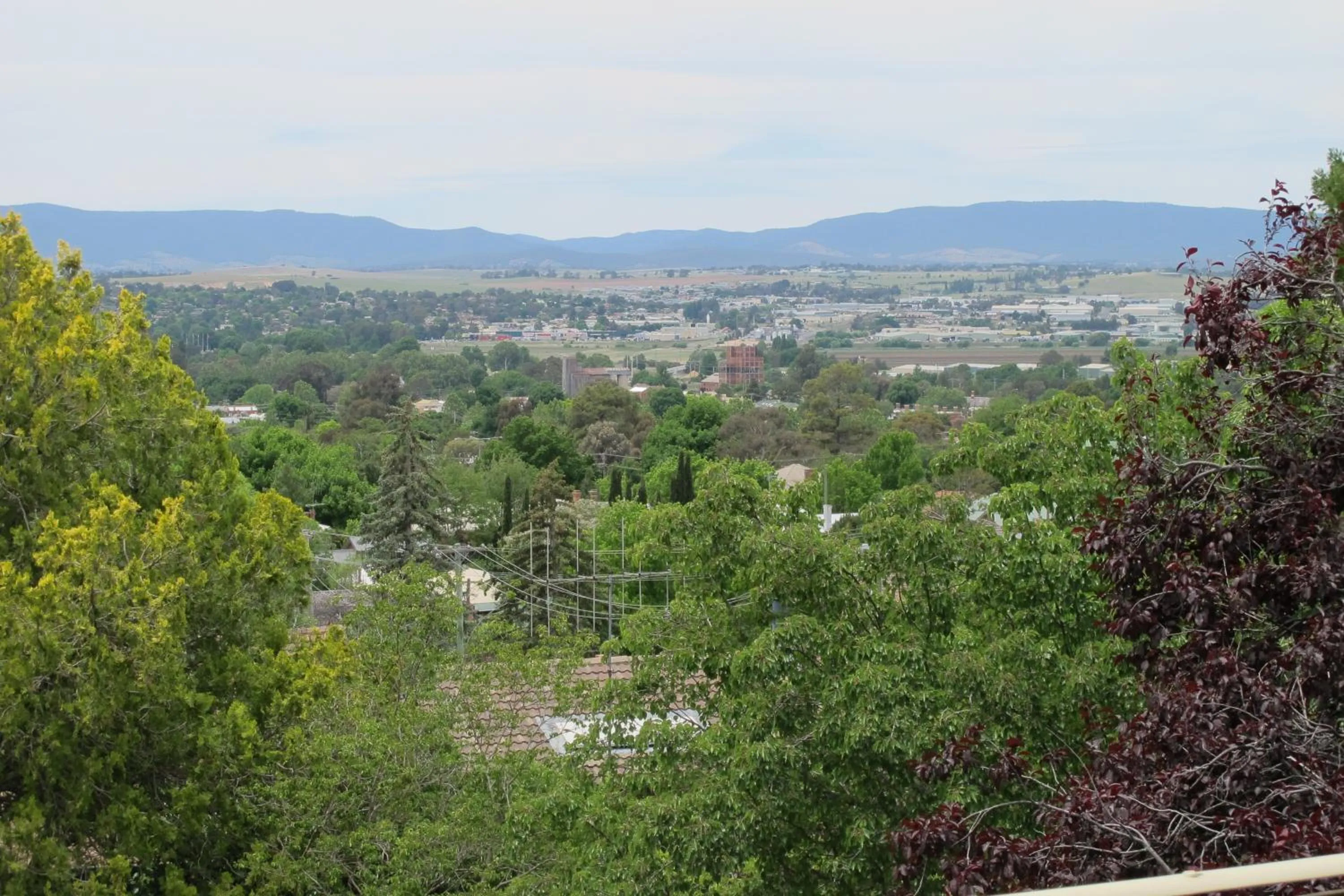 Holmhurst Guest House