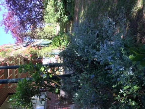 Holmhurst Guest House