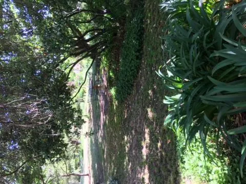 Holmhurst Guest House