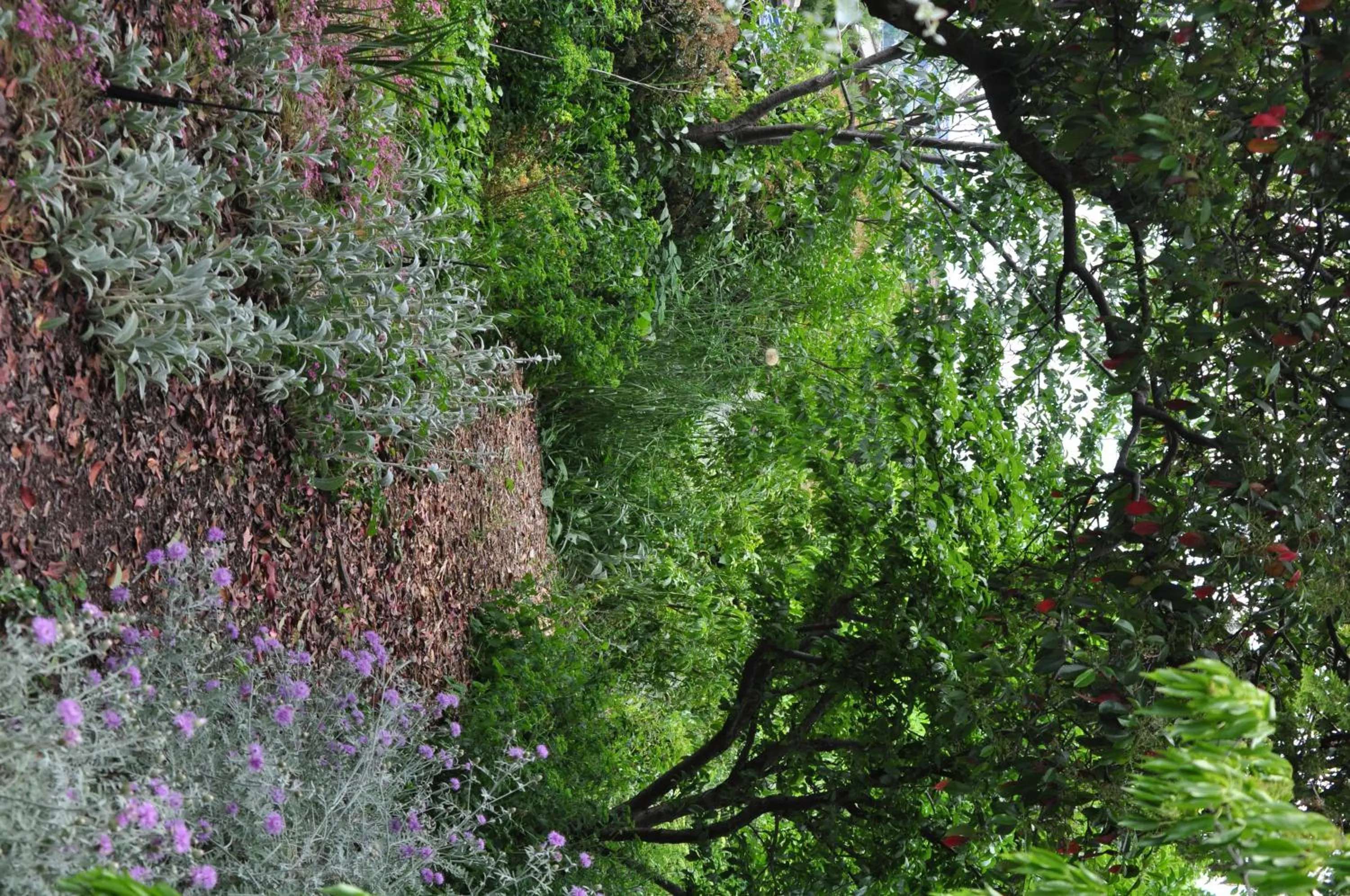 Holmhurst Guest House