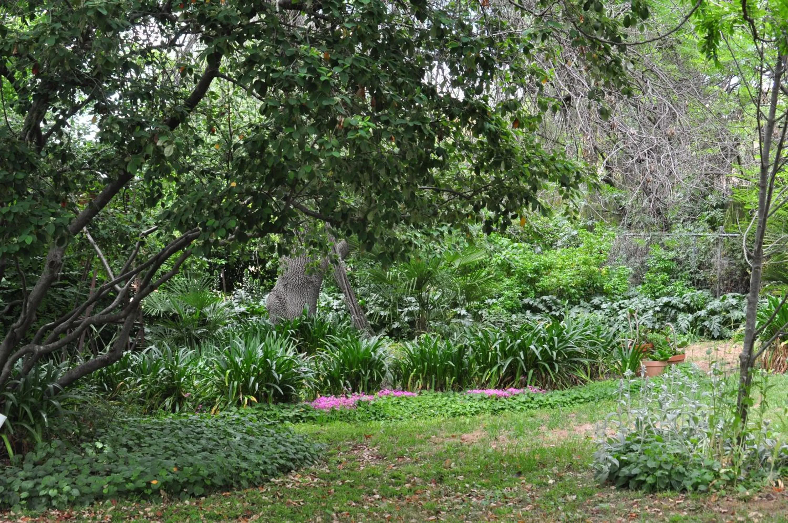 Holmhurst Guest House