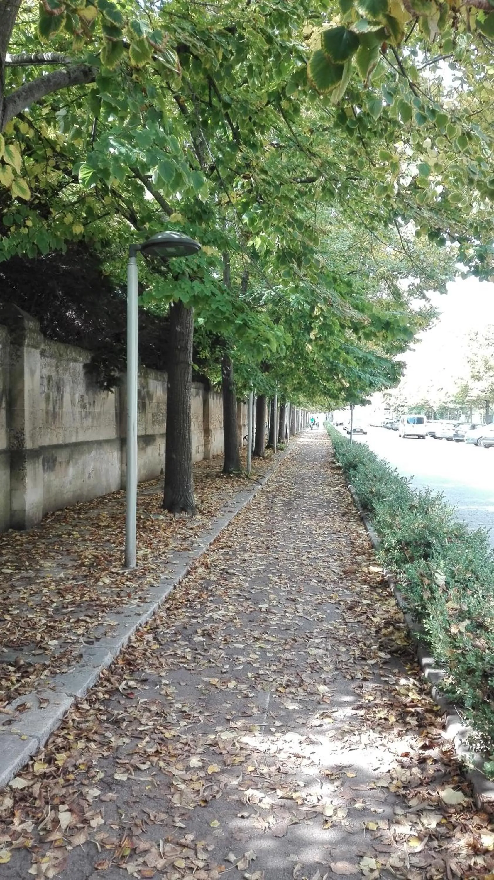 City view in acasadienrico