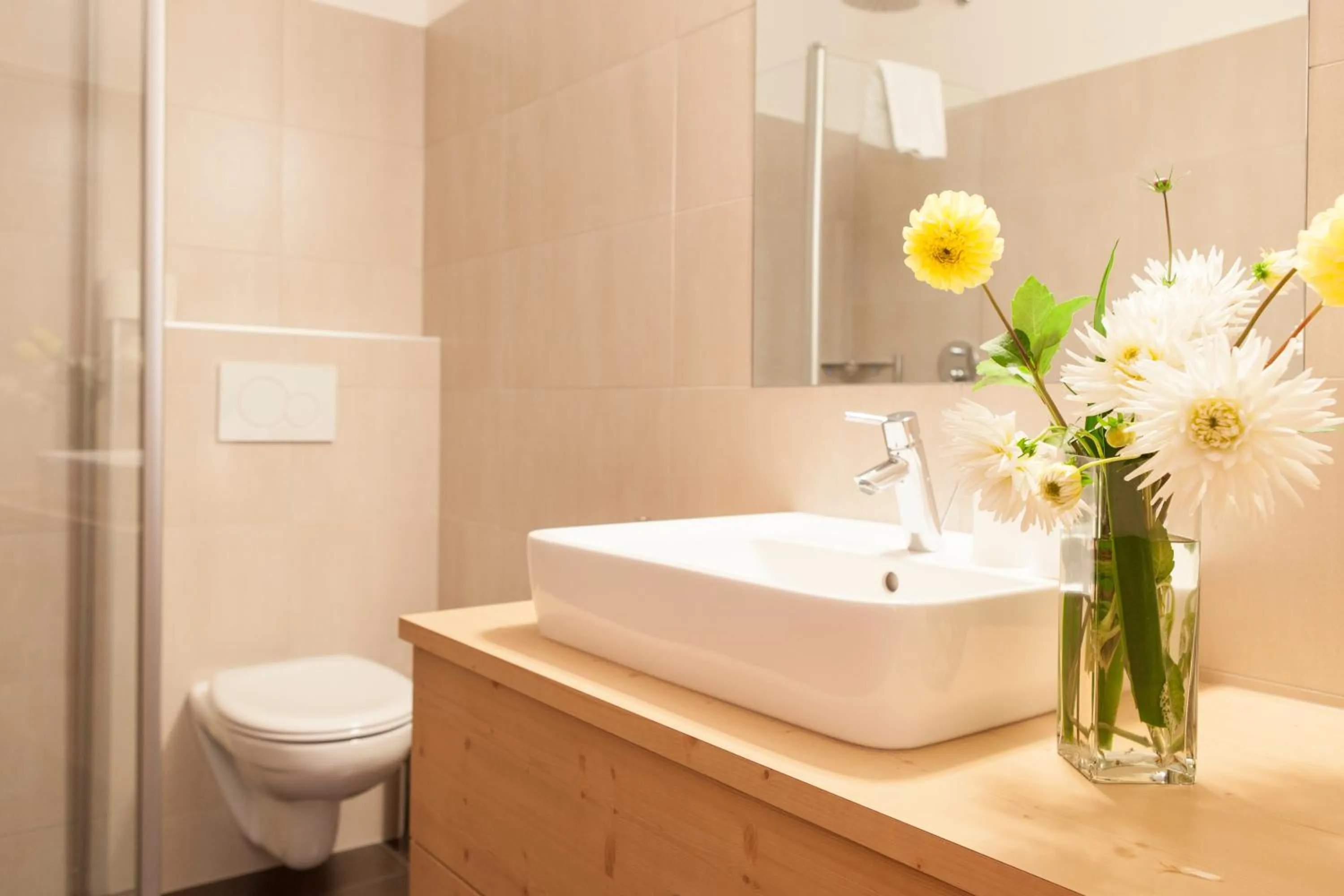 Double Room in Hotel Stefanshof