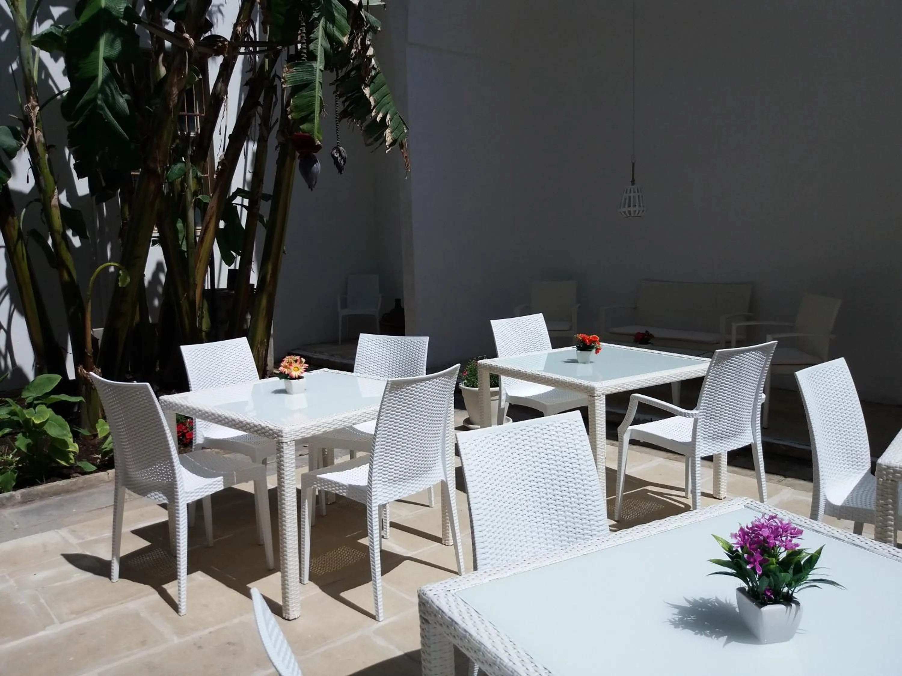 Garden in Antico Palazzo Spinola