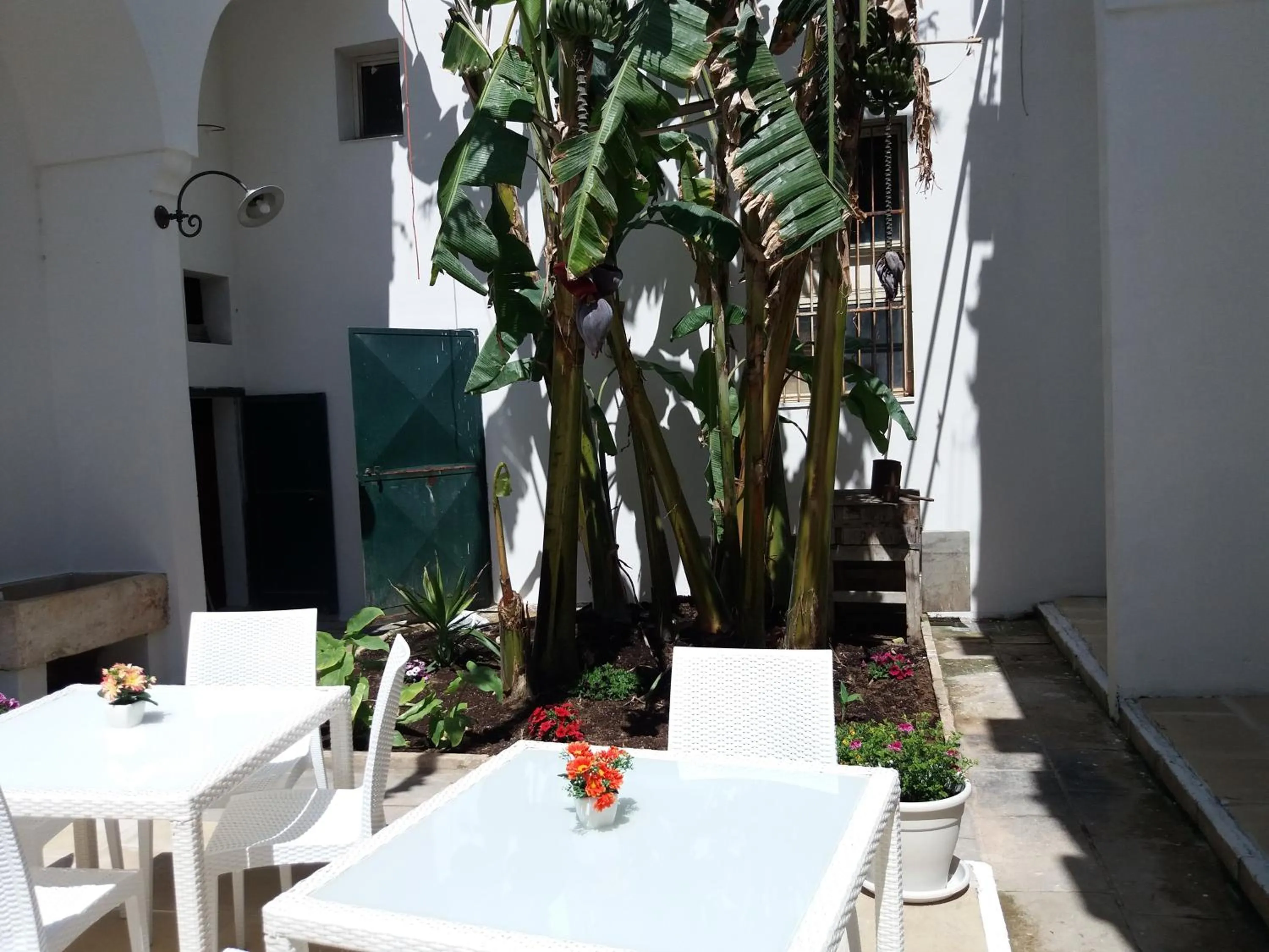 Garden in Antico Palazzo Spinola