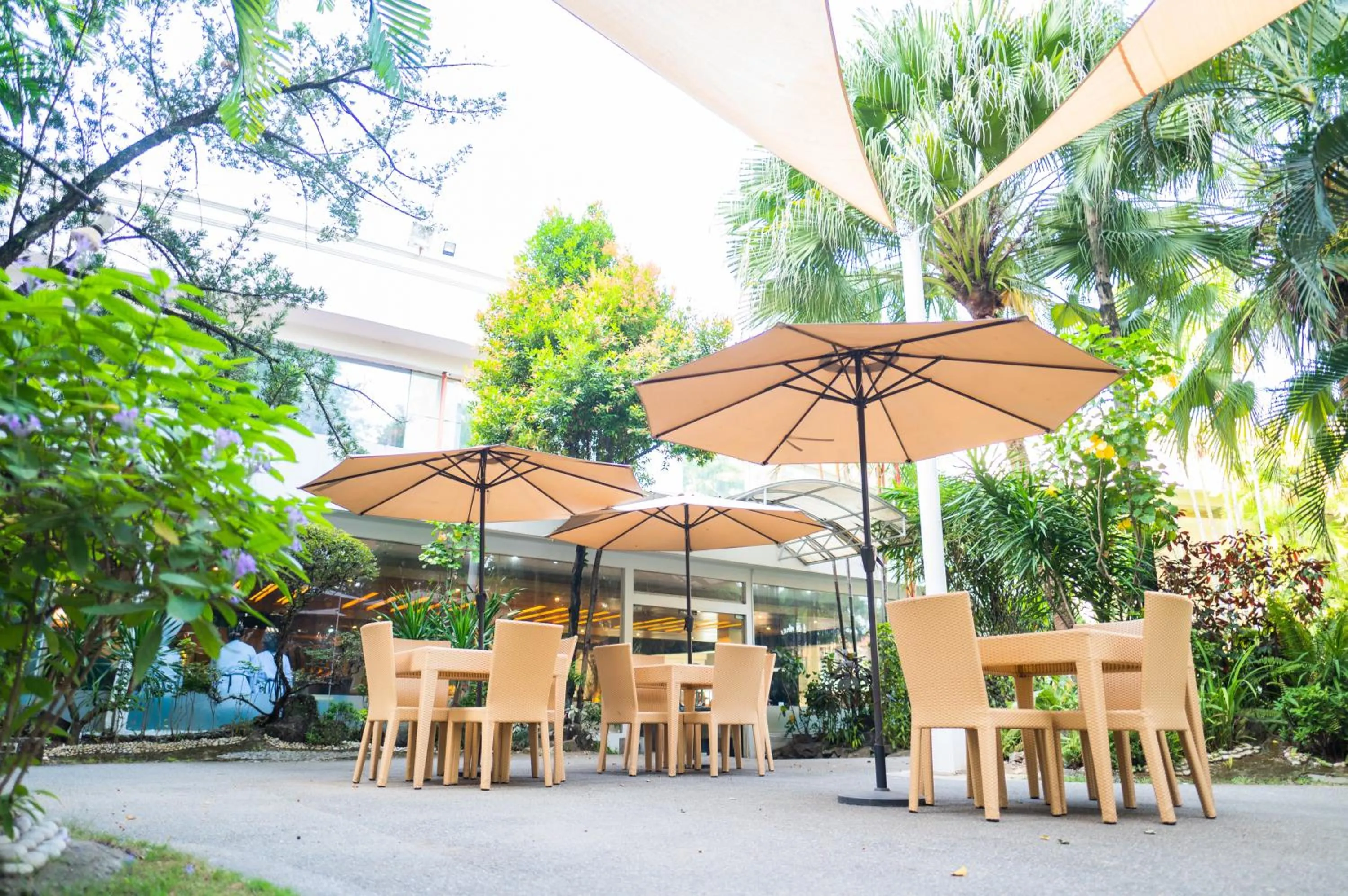 Garden in The Apo View Hotel