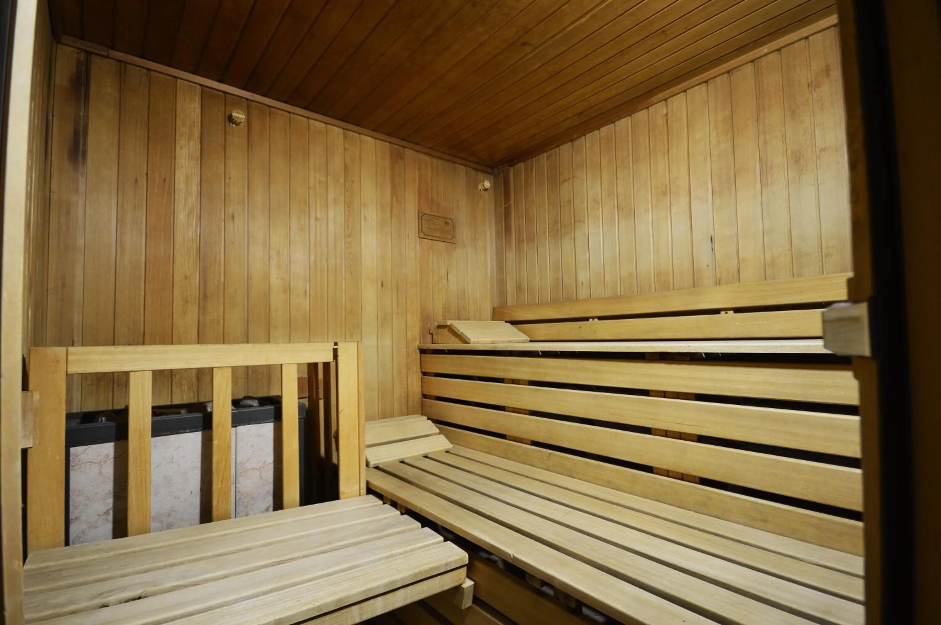 Sauna in Hotel Villa Fosine