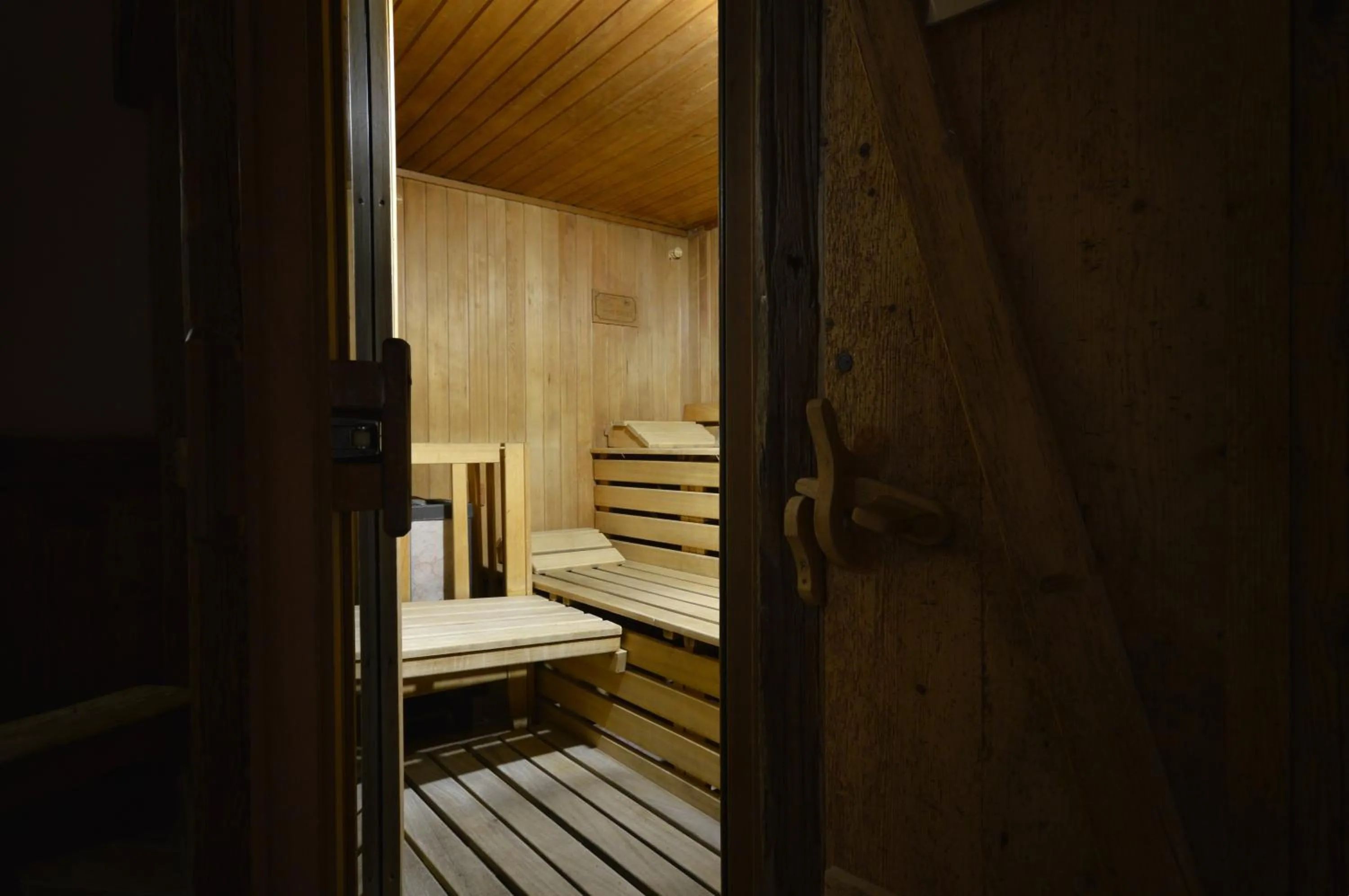 Sauna, Bed in Hotel Villa Fosine
