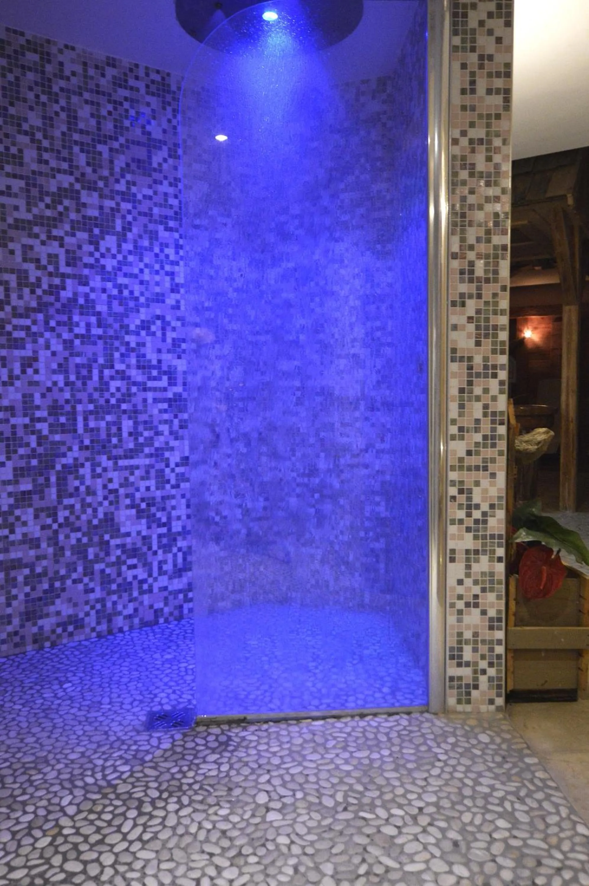 Spa and wellness centre/facilities in Hotel Villa Fosine